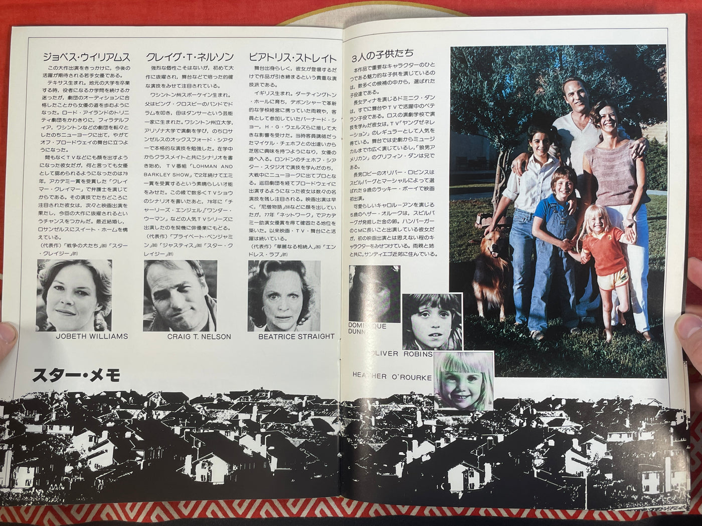 Poltergeist Movie Pamphlet