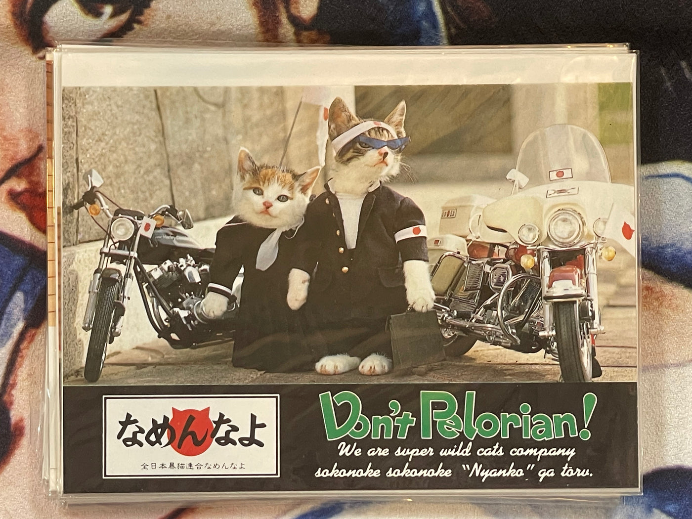 Don't Pelorian! Namennayo Cat Postcard #7