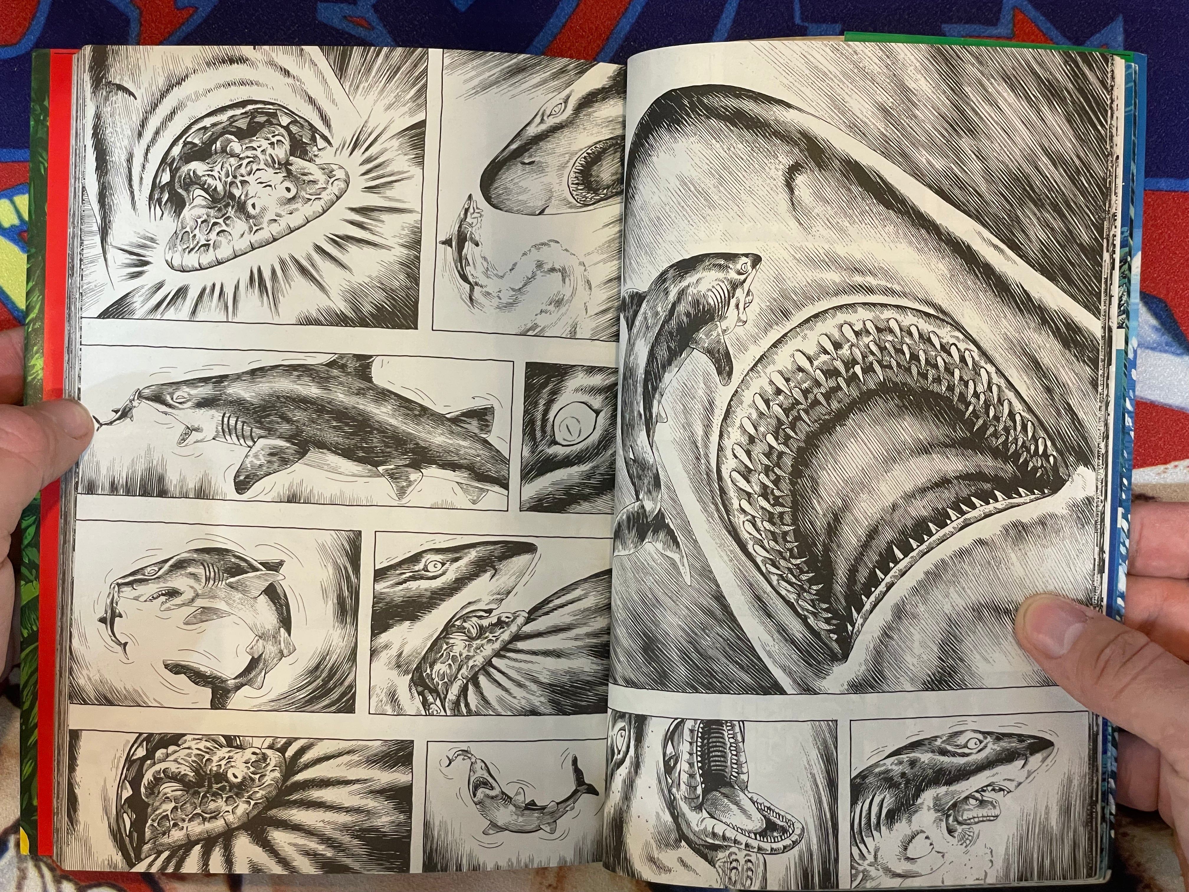 GON 1-4 Set by Masashi Tanaka (1992)