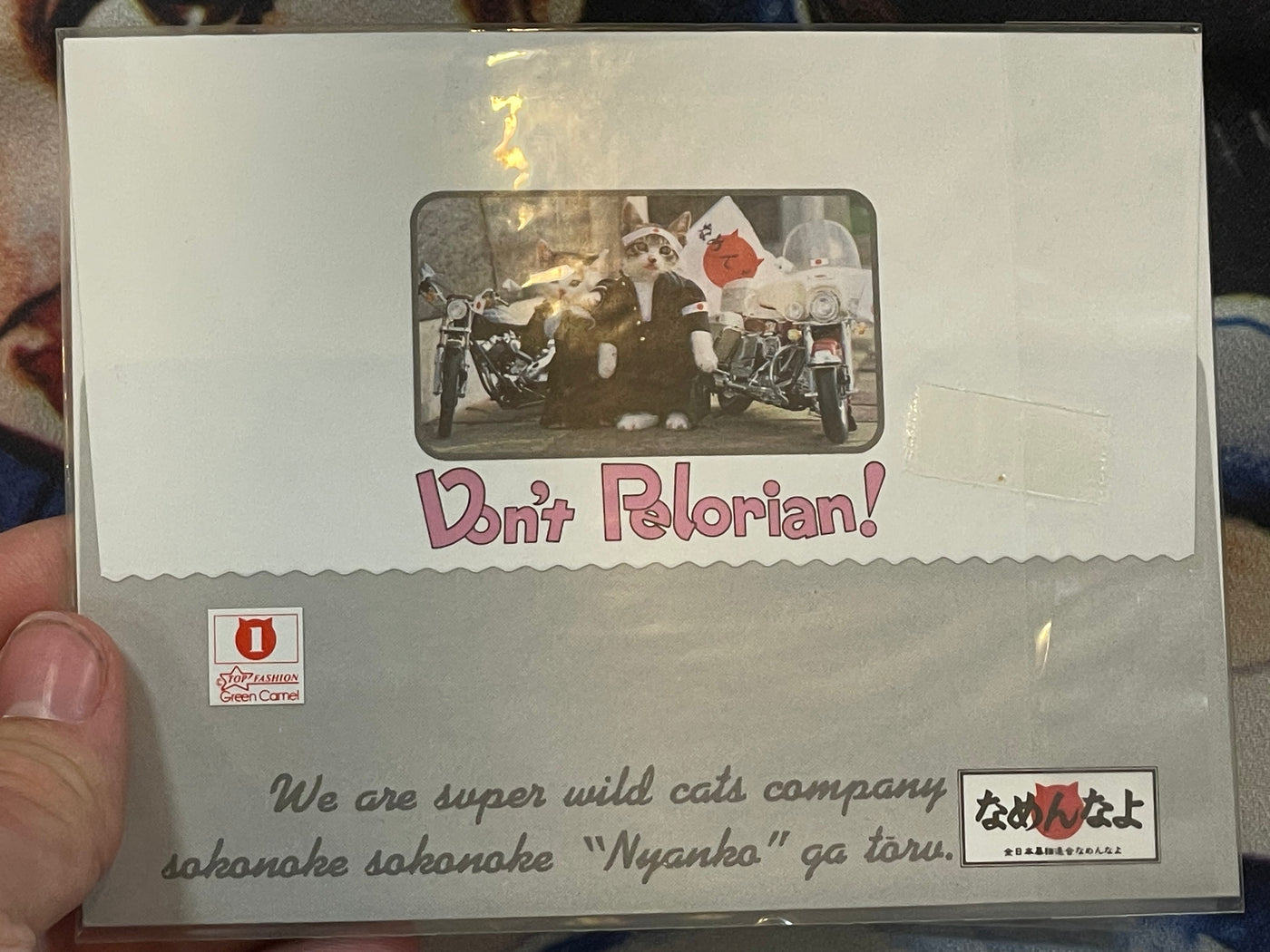 Don't Pelorian! Namennayo Cat Postcard #4