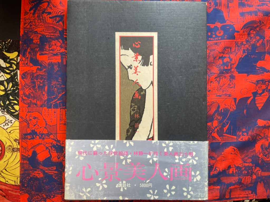 Minscape Beauty Illustrations - Oversized, Slipcover, Hardcover by