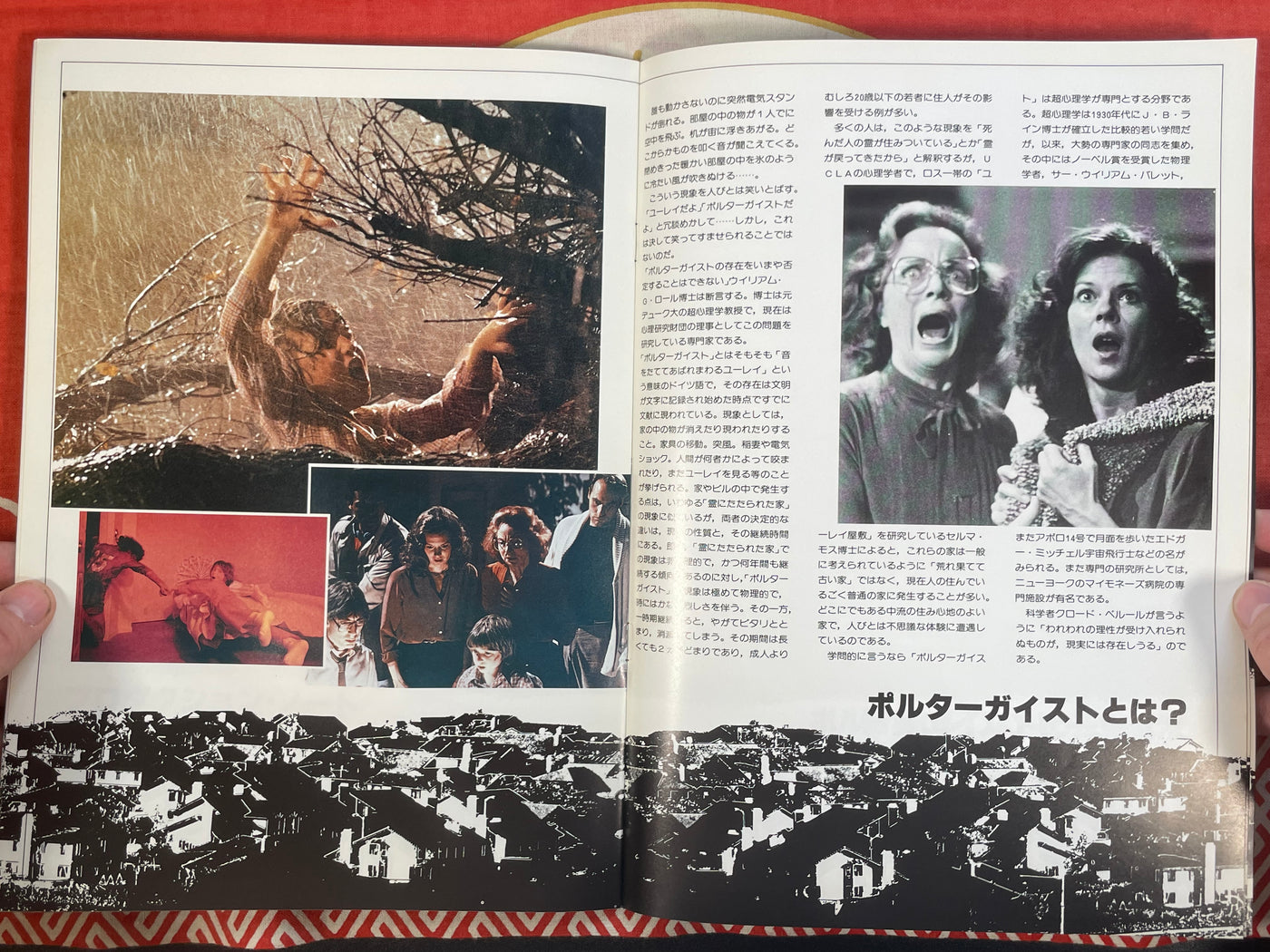 Poltergeist Movie Pamphlet