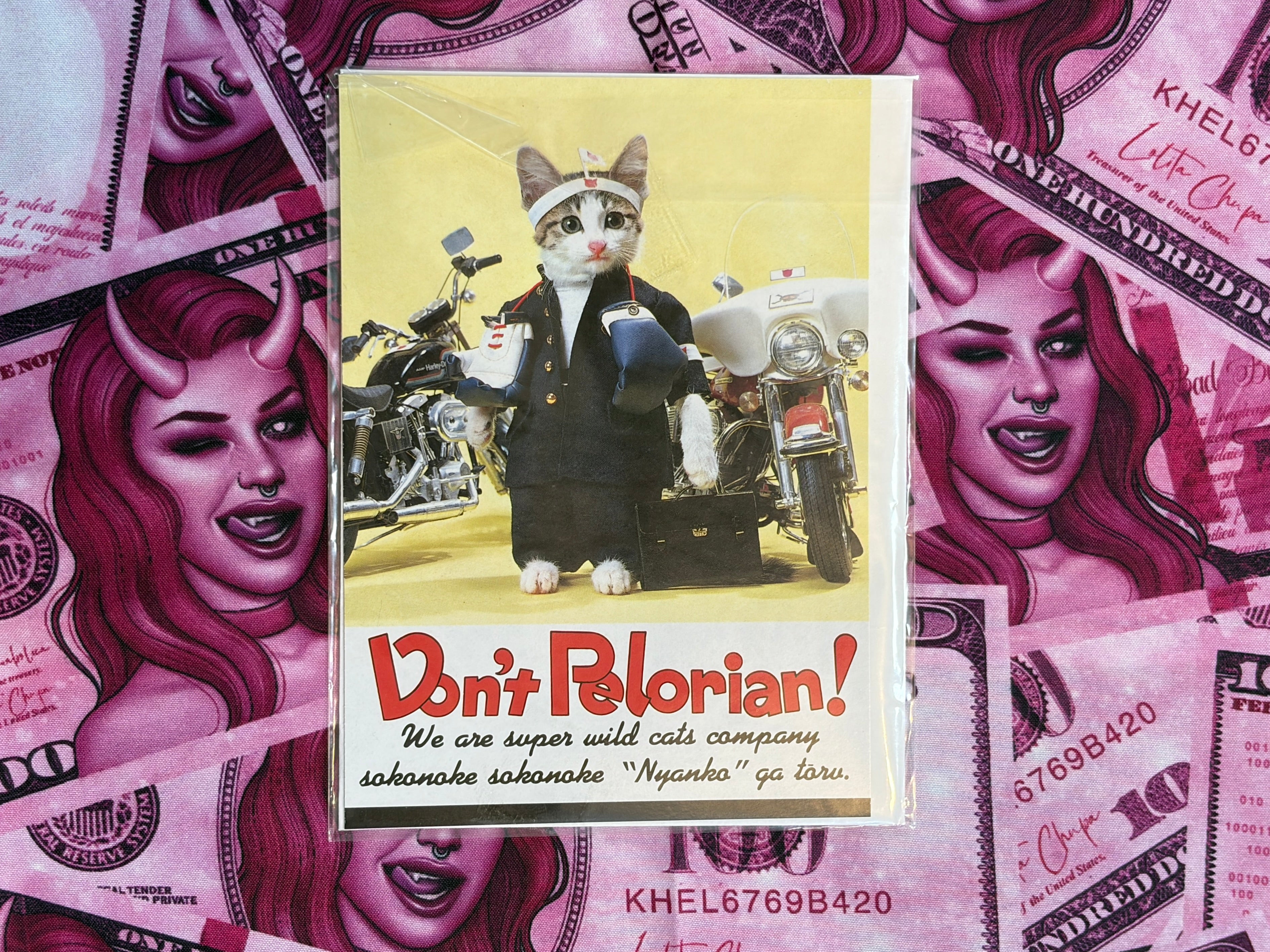 Don't Pelorian! Namennayo Cat Postcard #5