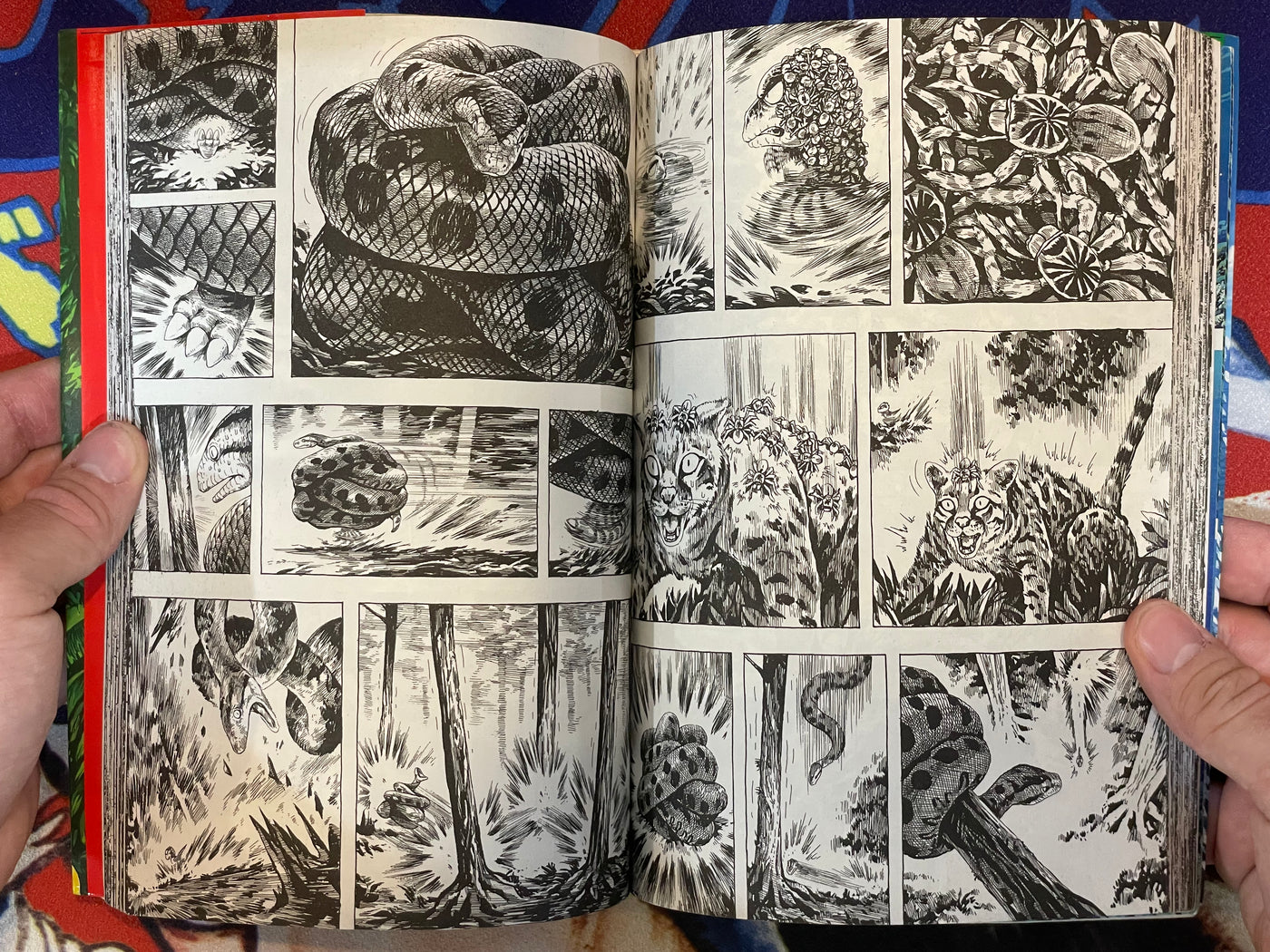 GON 1-4 Set by Masashi Tanaka (1992)