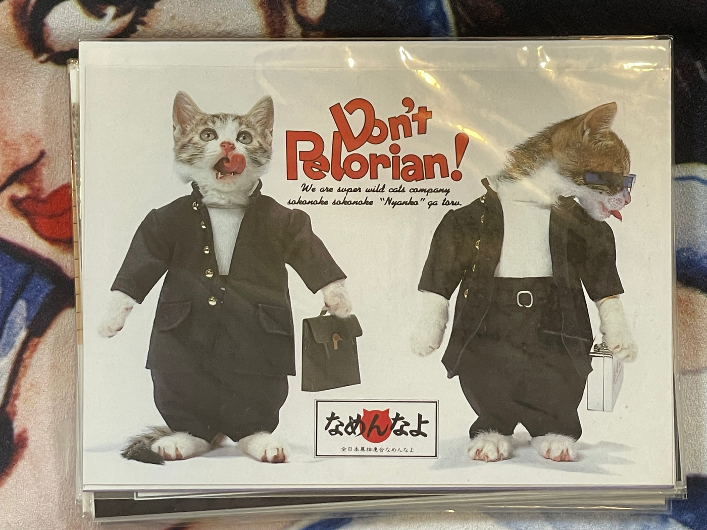 Don't Pelorian! Namennayo Cat Postcard #8