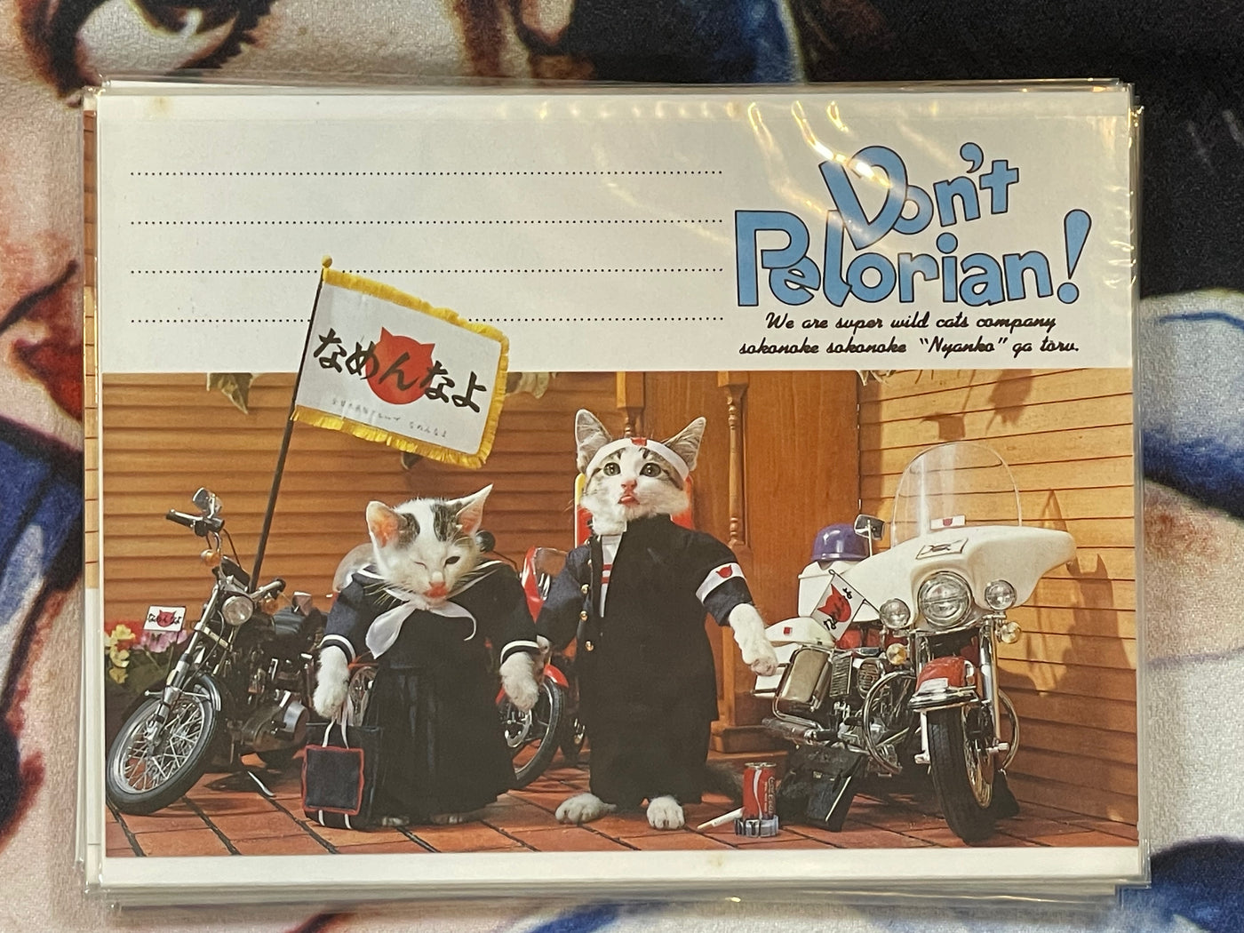 Don't Pelorian! Namennayo Cat Postcard #6