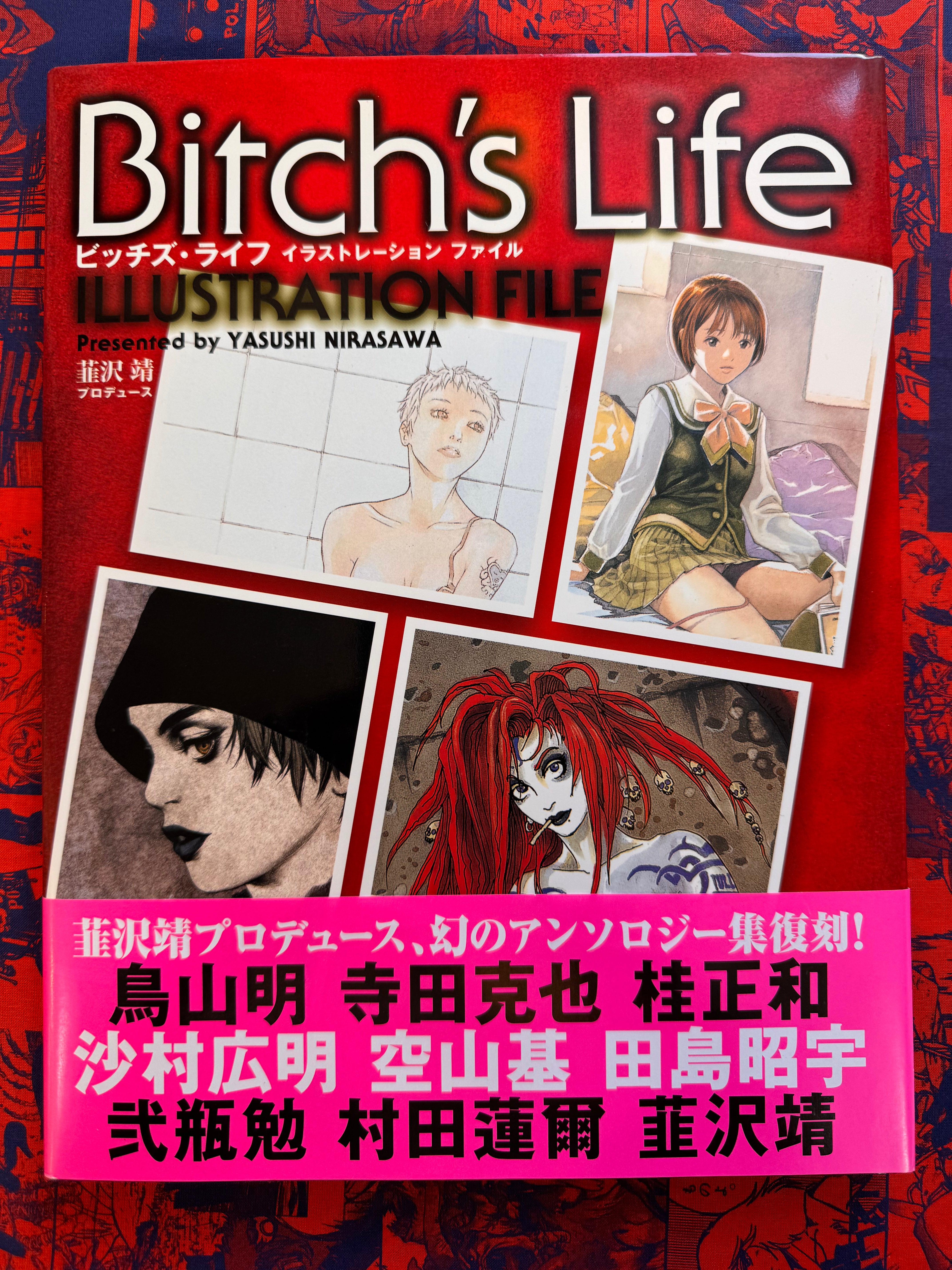Bitch'sLife Illustration File ビッチズ・ライフ Bitch's Life Illustration File feat. Toriyama, Coop, Terada