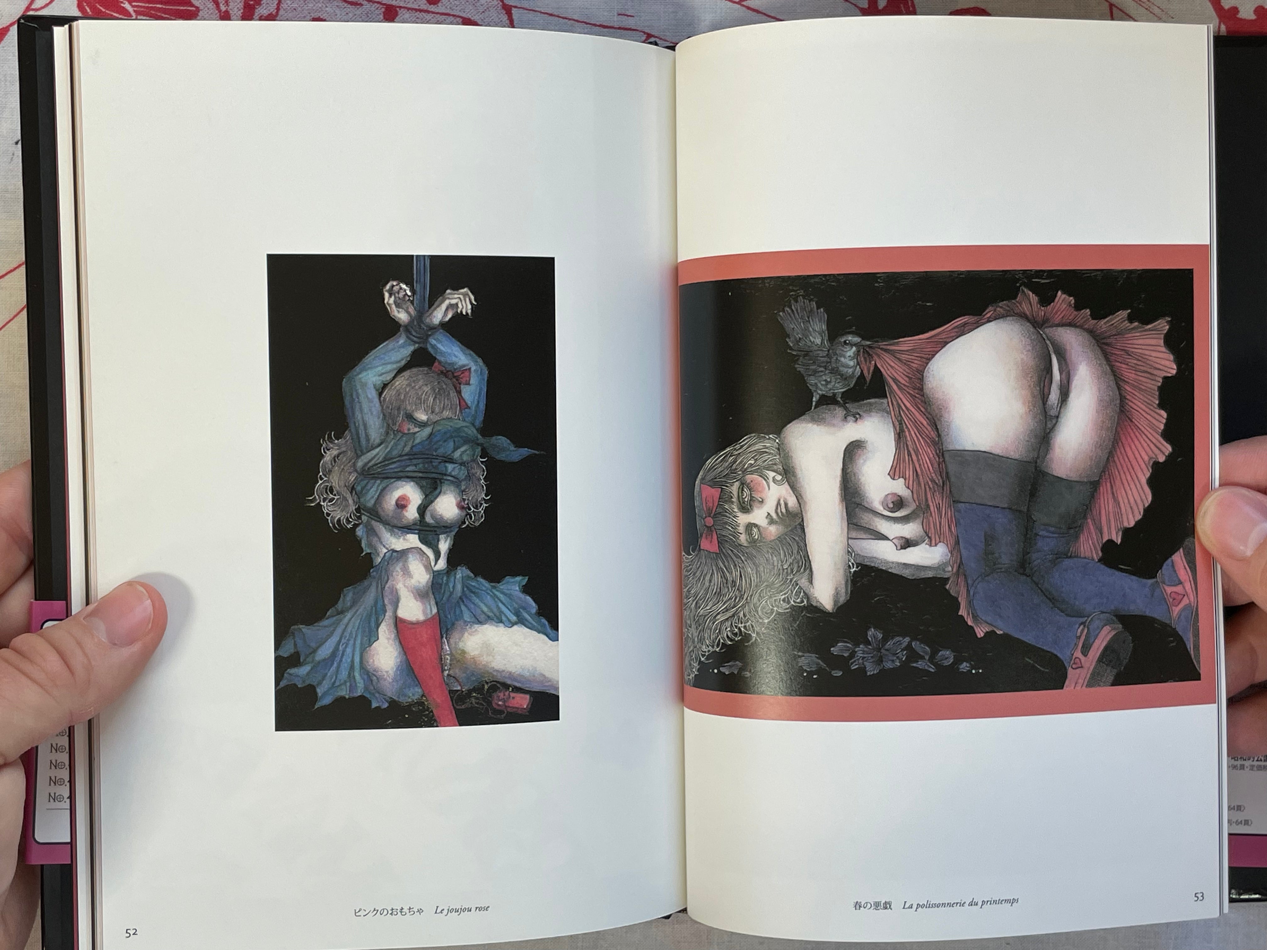 L'aventure de Mademoiselle Pipi by Saori Furukawa (2011)