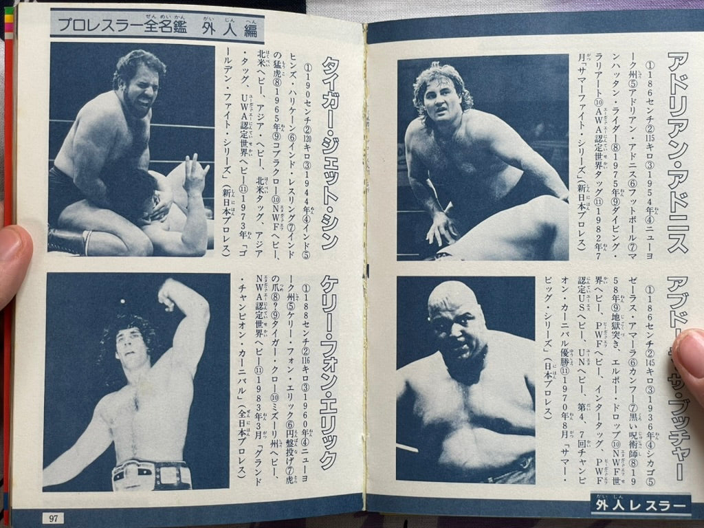 Definitive Edition: Introduction to Pro Wrestling by Big Wrestler (1984)