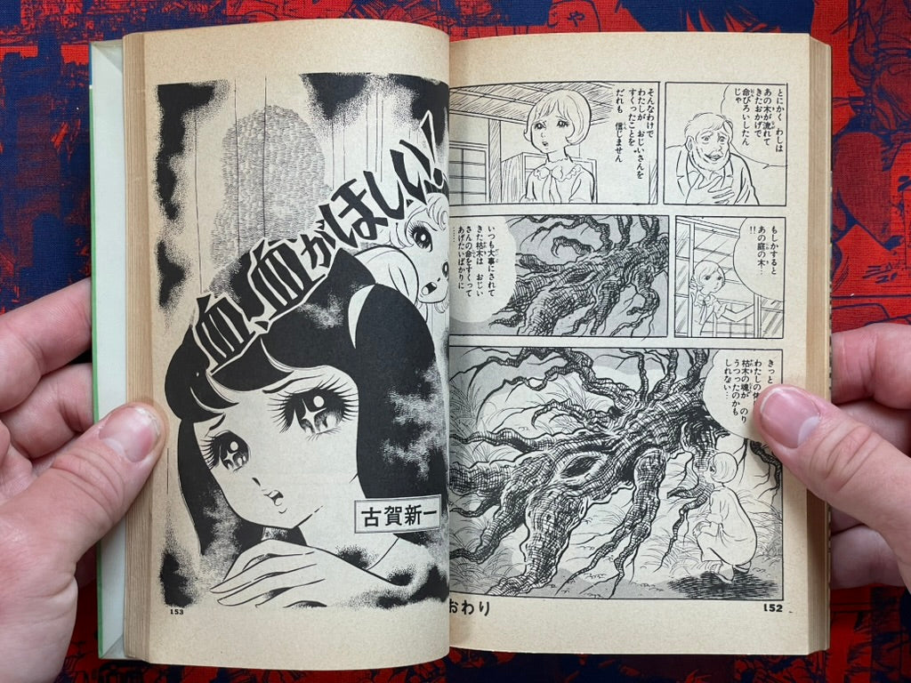 Lightning Girl by Koga Shinichi (1984)