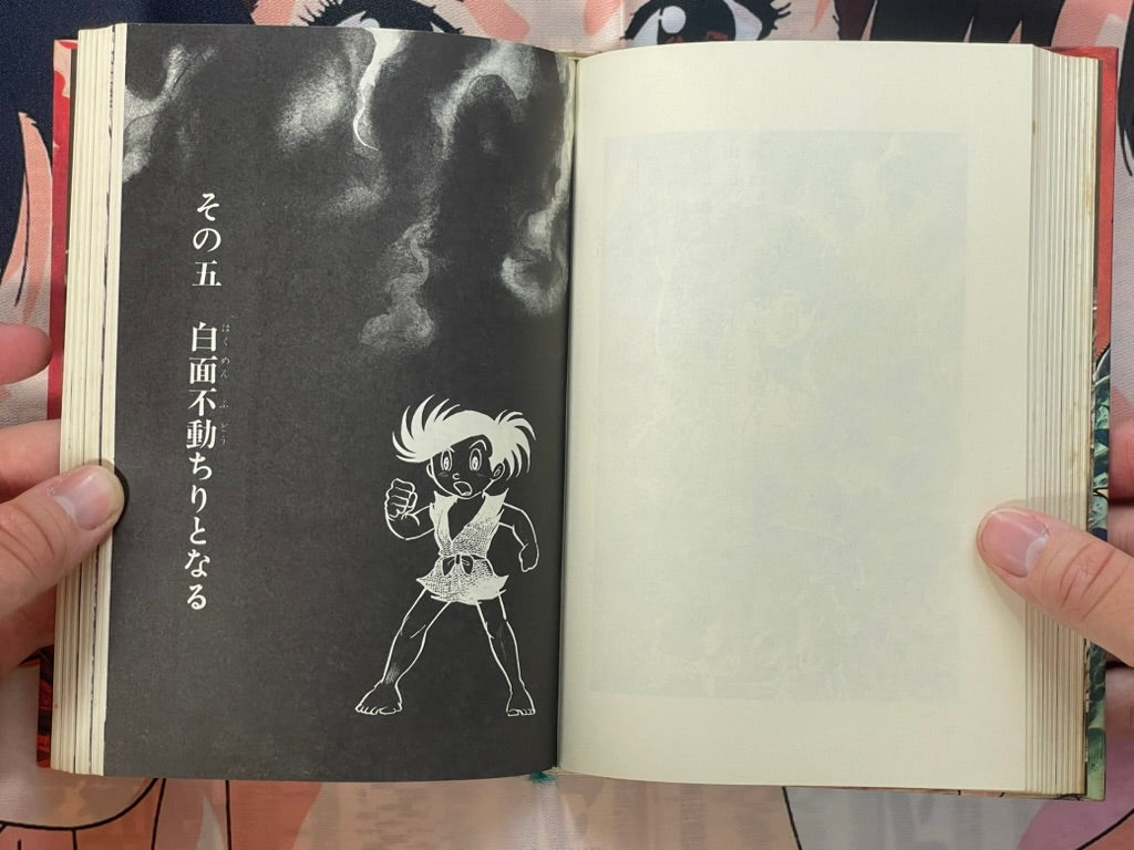 Dororo (Illustrated Novel) - Slipcover + Hardcover by Tezuka Osamu (1969)-thumbmail-11