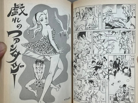 Super Lady Mako in Action by Shiro Kasama (1998)