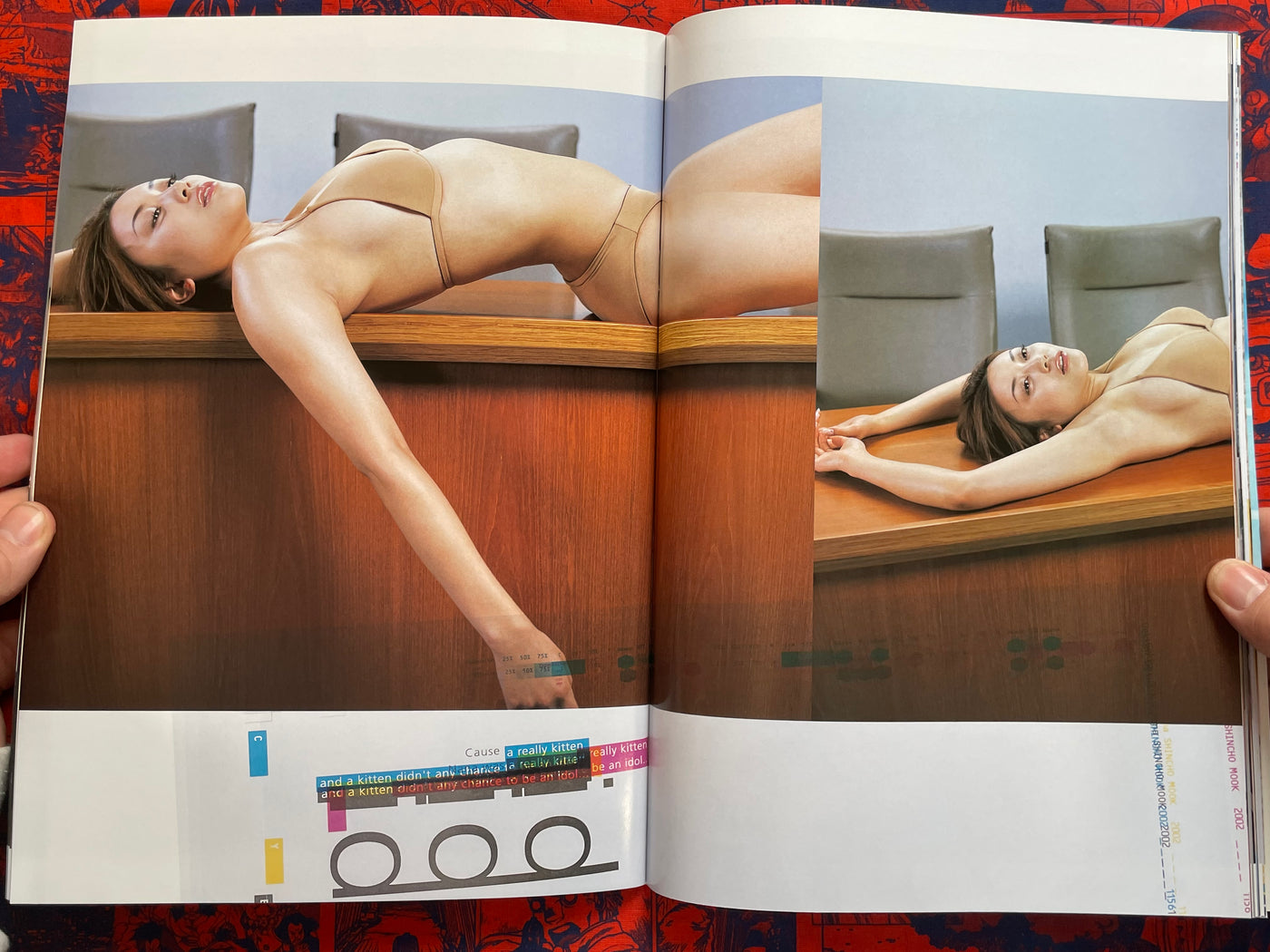 Monthly Shincho Mook: Ogawa Nana (2002)