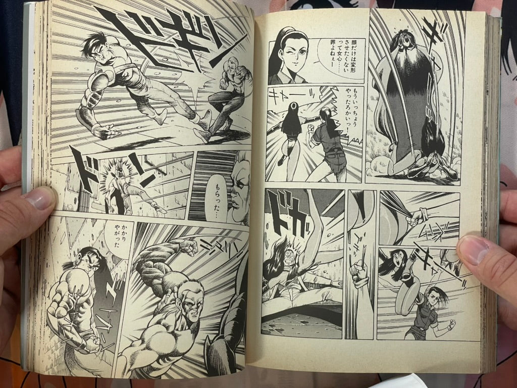 Silverstar by Itahashi Syufu (1991)-thumbmail-13