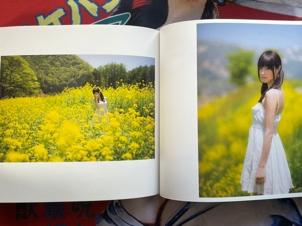 Sunny Day and Twin Tail by Kan Furuya (2012)