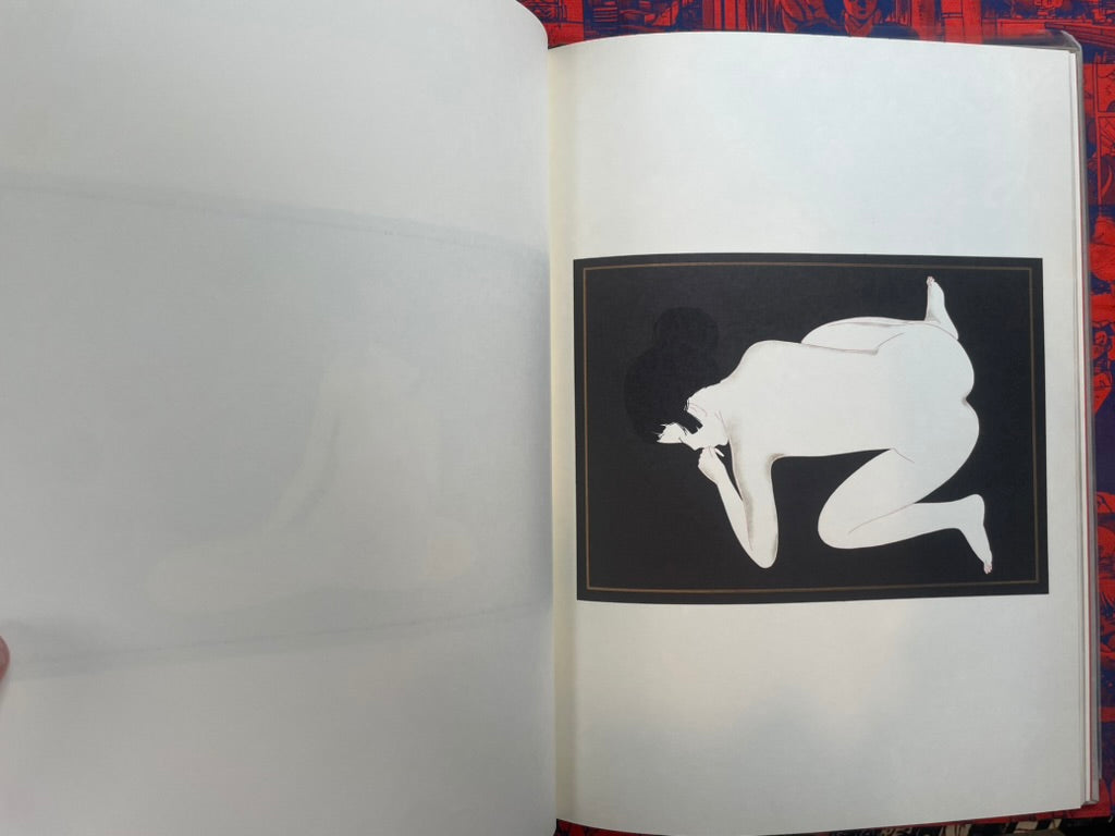 Minscape Beauty Illustrations - Oversized, Slipcover, Hardcover by Hayashi Seiichi (1976)