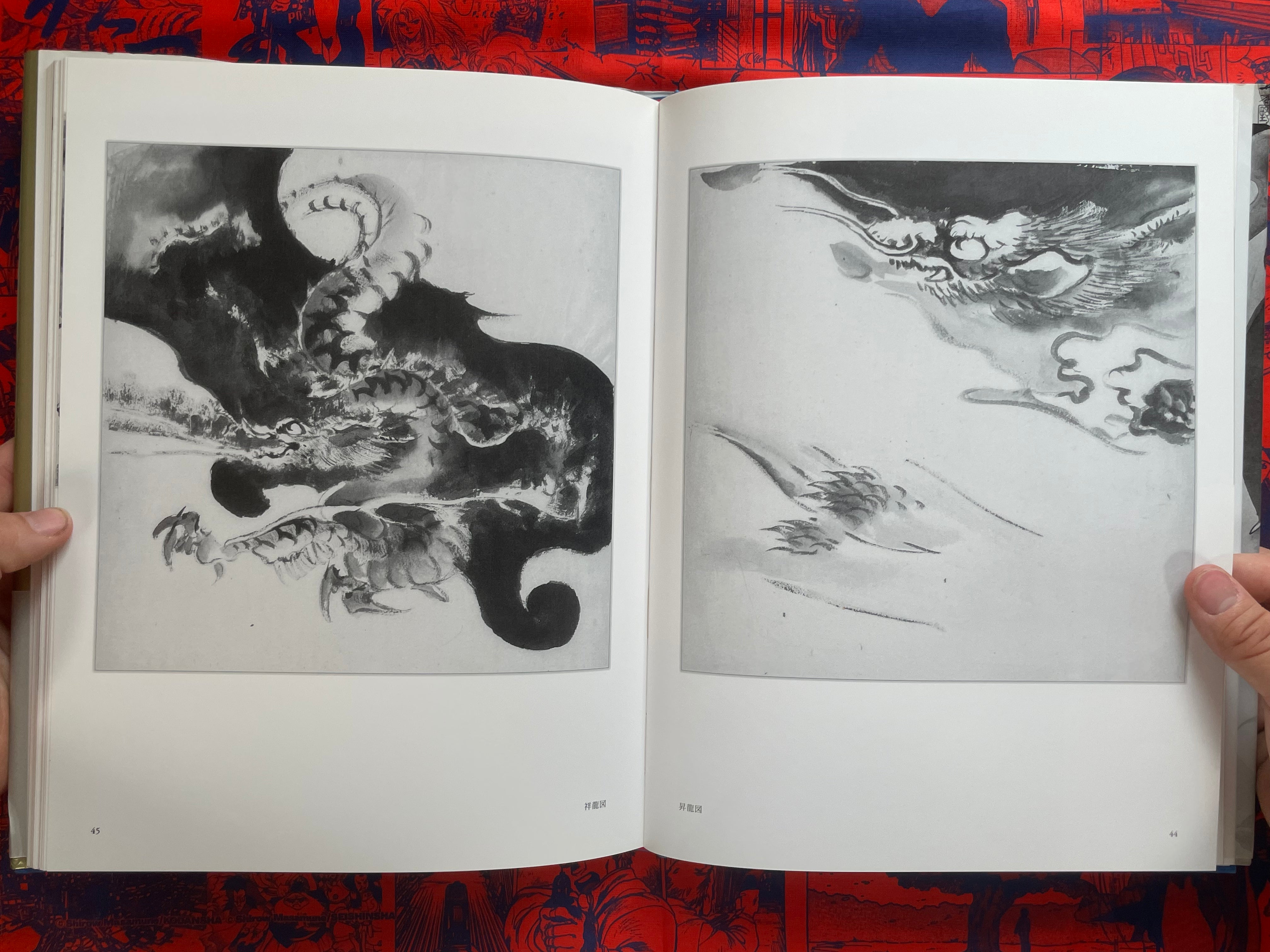 Tansai: Art of 100 Dragons - hardcover by Terano Tansai (2011)
