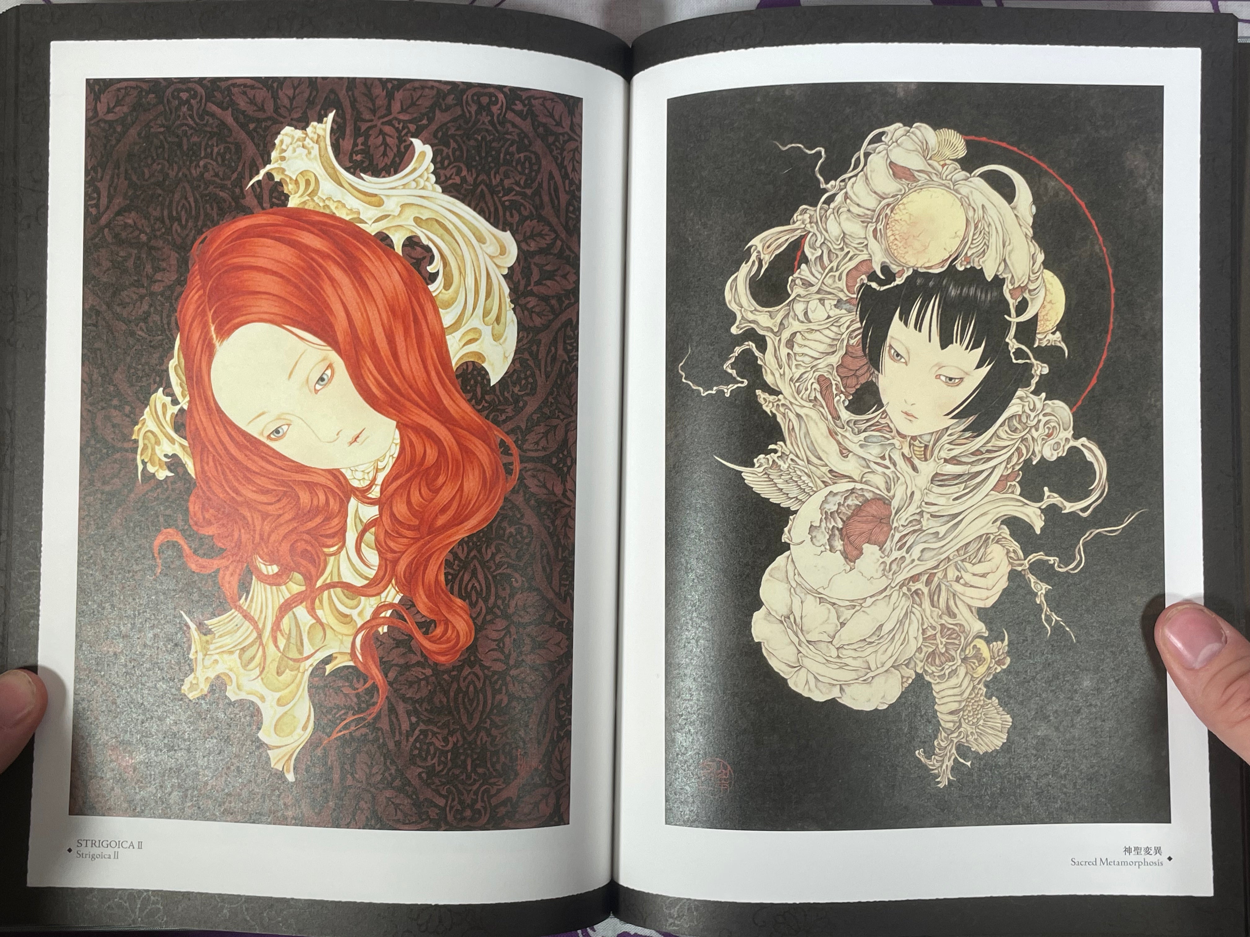 SIGNED Coffin of a Chimera Hardcover + Slipcover by Yamamoto Takato