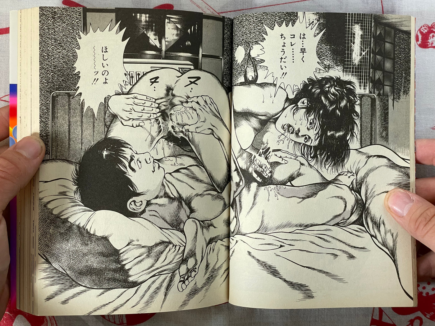 Korogari Teiji / Wandering Teiji Volumes 1-4 Set by Toshio Maeda (1995)
