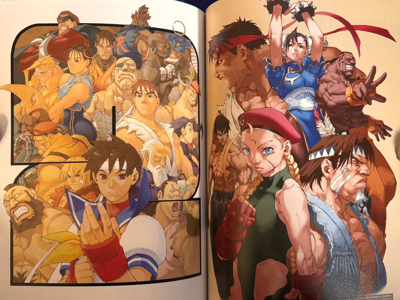 CAPCOM Street Fighters Art Works Supremacy (2009)