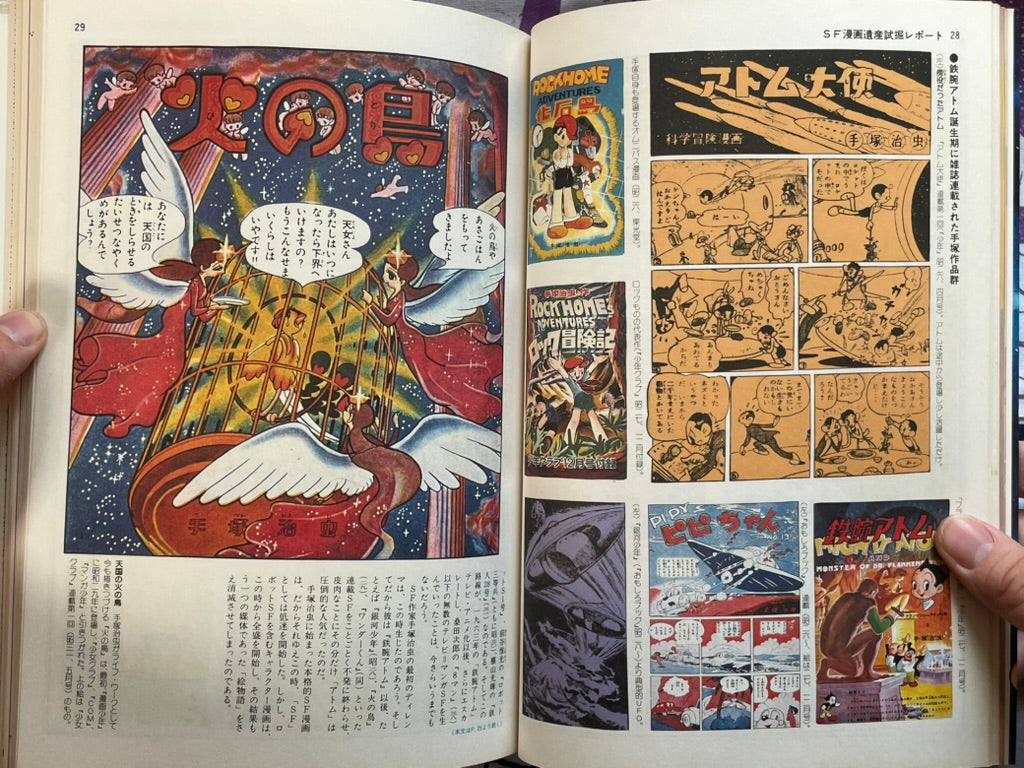 SF Fantasia Magazine 6: Manga Edition (1979)