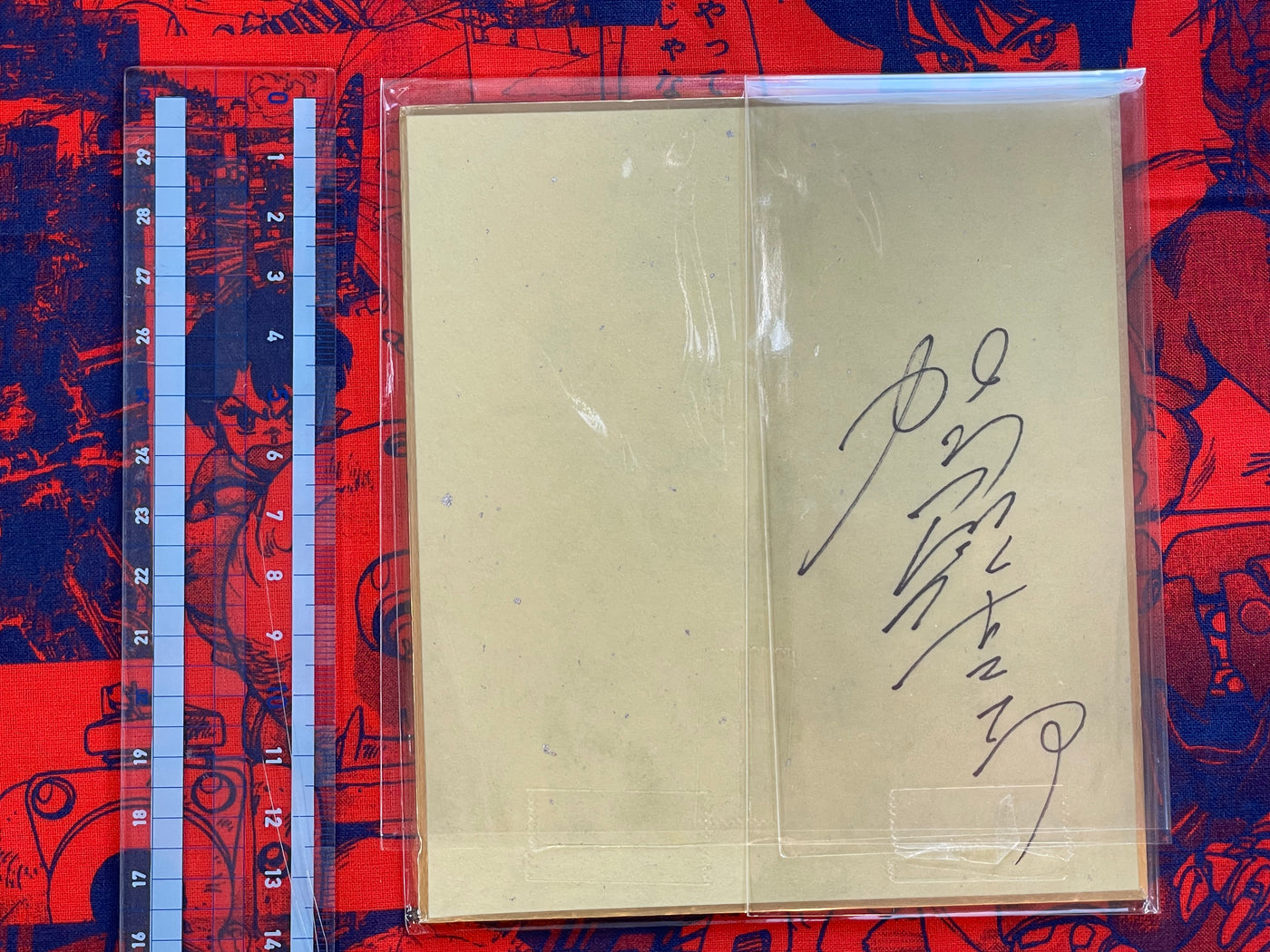 SIGNED Kago Shintaro Small Shikishi Art Print- Tropical Thai Yokai