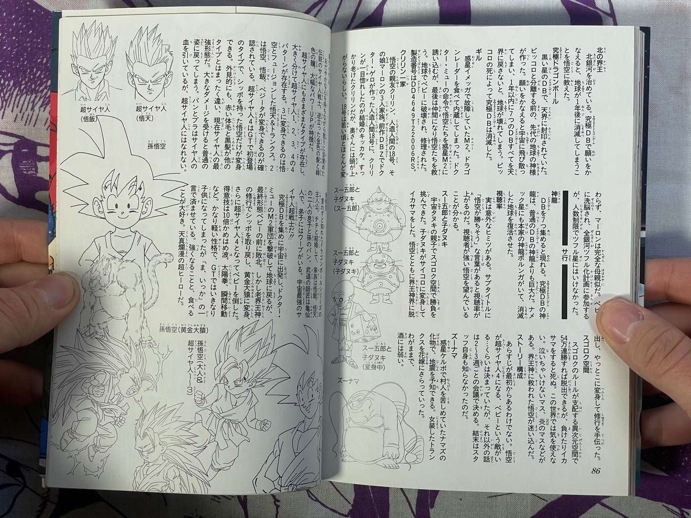 Dragon Ball GT Perfect File 1 by Jump Comics (2006 Reprint)