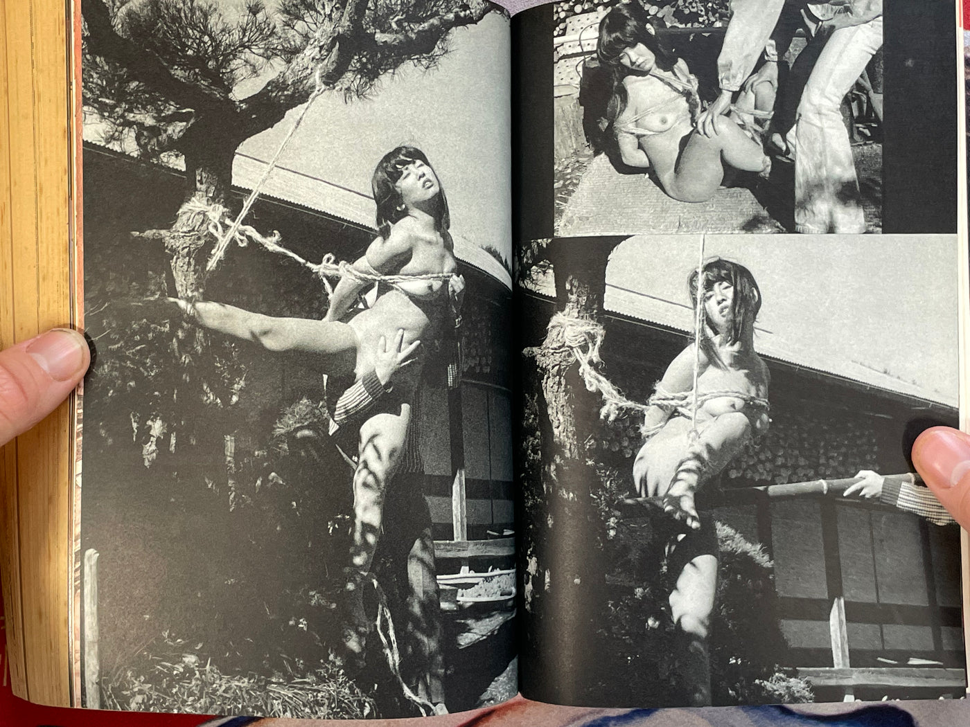 SM Phoenix Magazine (11/1984)
