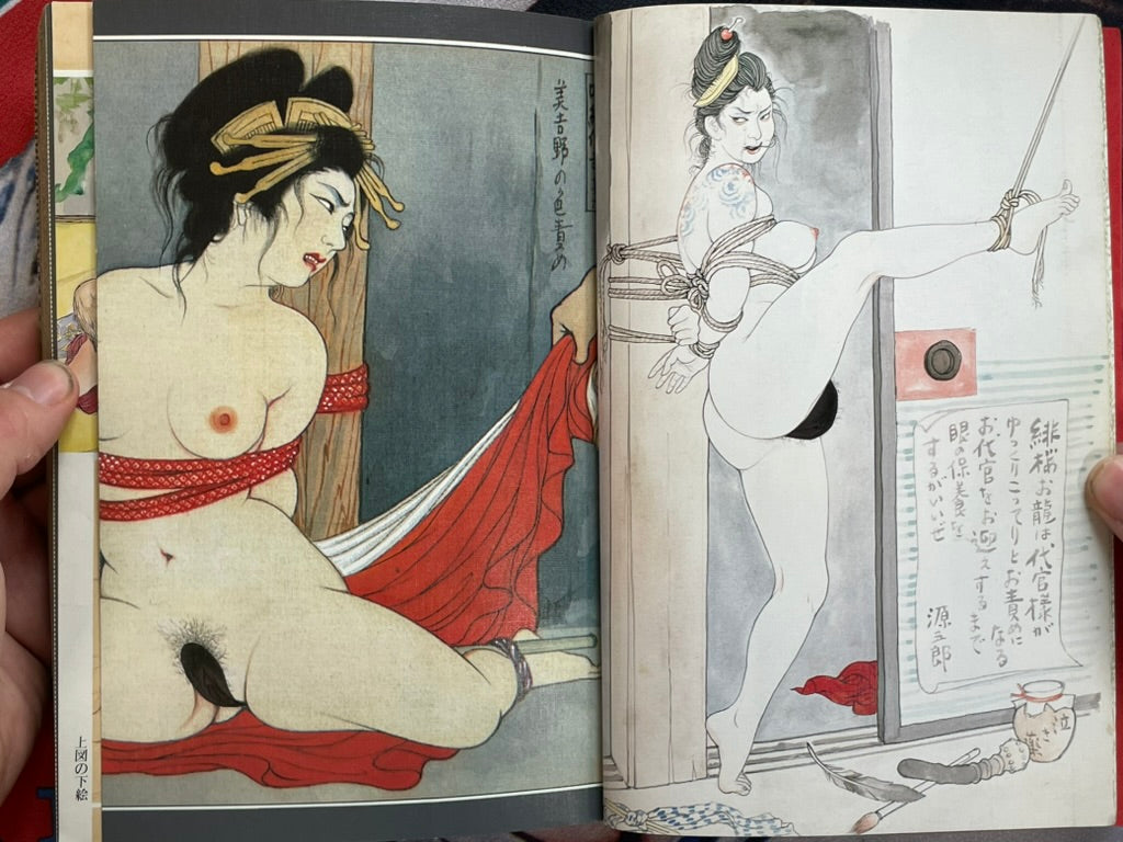 SM Higa Book World: SM Secret Novel Extra Edition (1984)