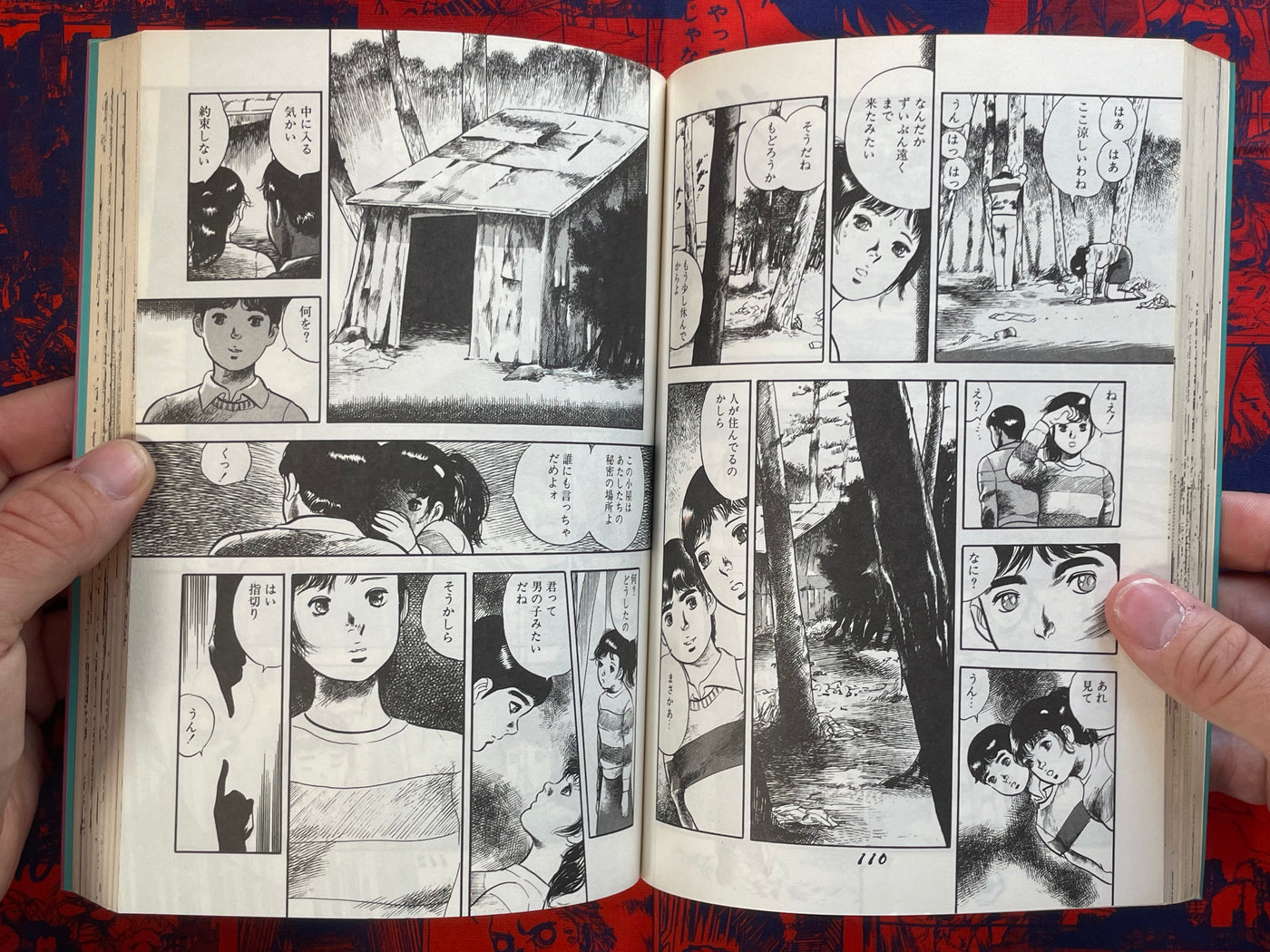 Metamorphosis BY Kosuzu Hiromi (1983)