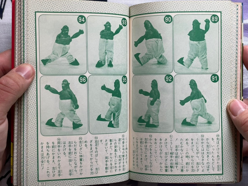 Butcher Heel Wrestler Super Encyclopedia (1981)