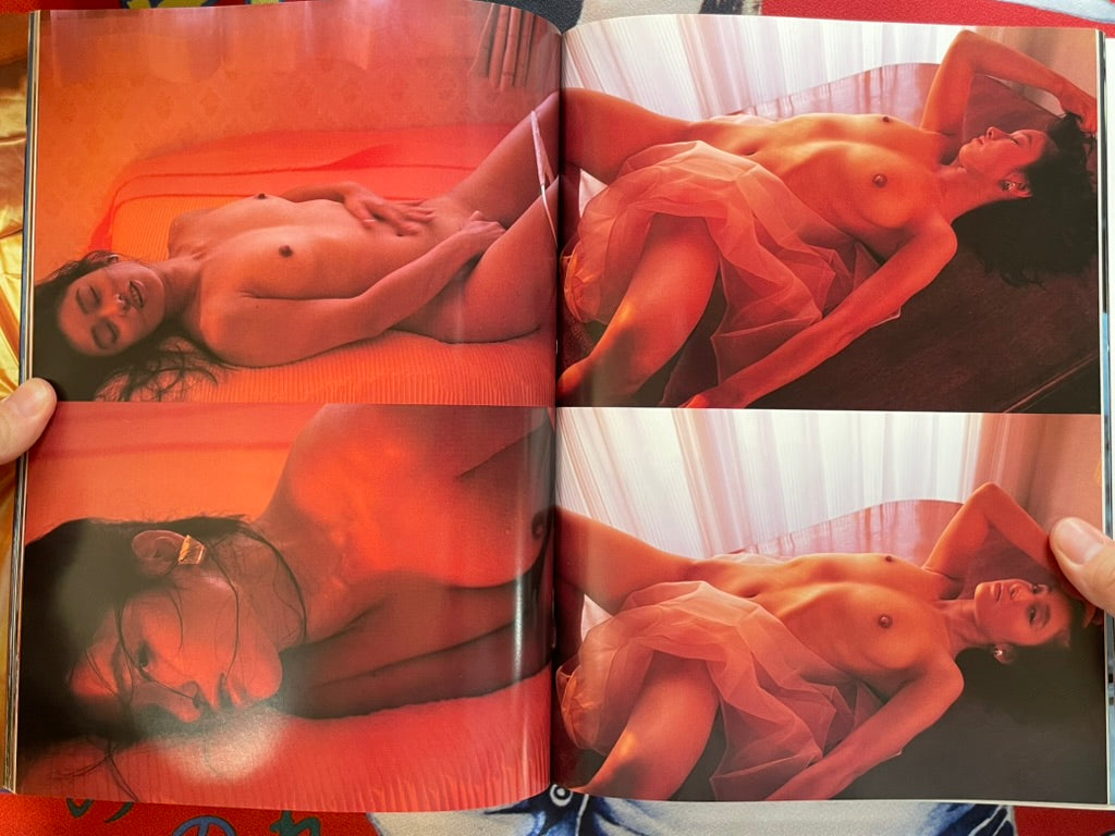Chromosome by Nogawa Isamu (1993)-thumbmail-15