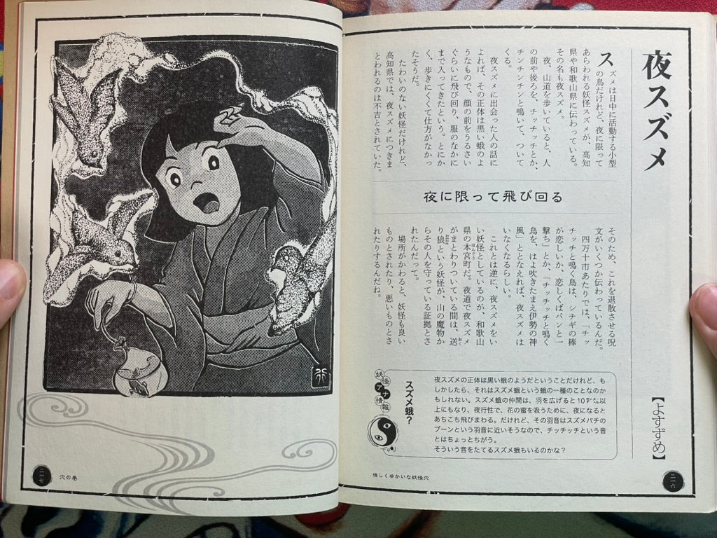 Yokai Hole by Kenji Murakami & Shinbun Udagawa & Yukio Amano (2011)