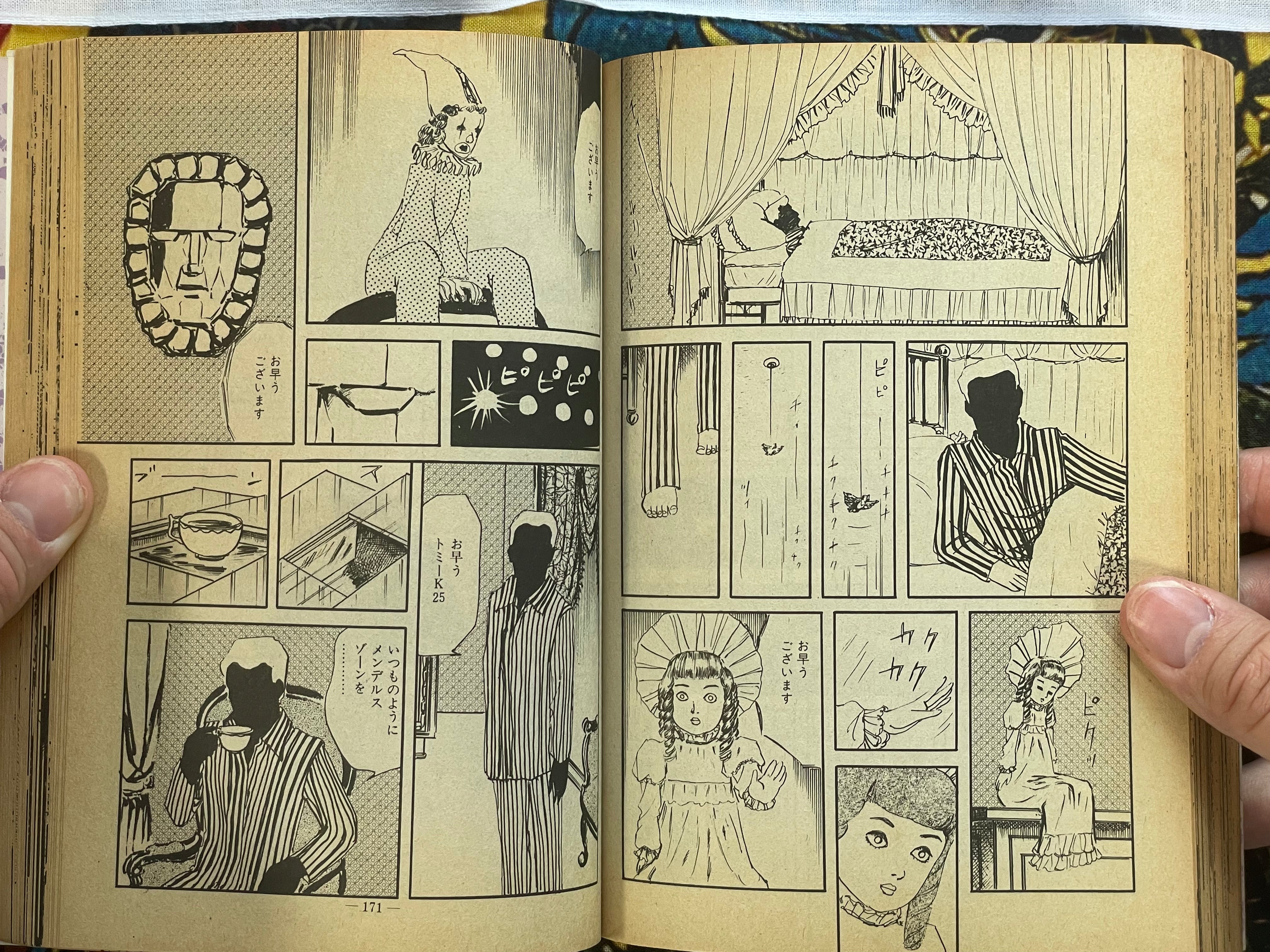 Young Girl Yumemachigusa by Shinichi Muraso (1984)