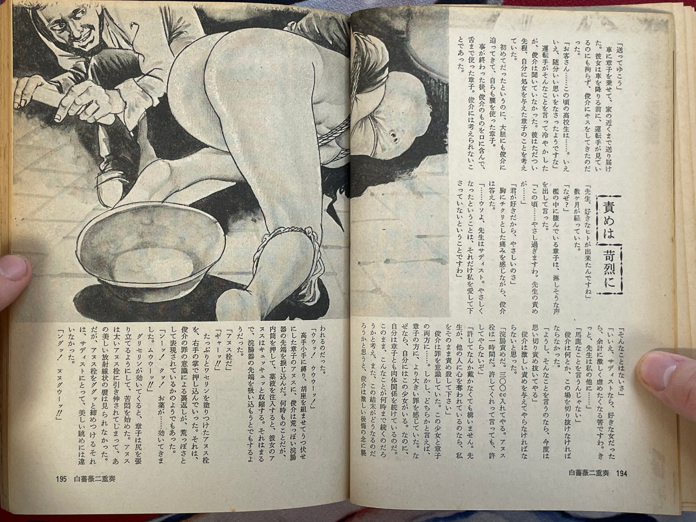 SM Phoenix Magazine (11/1984)