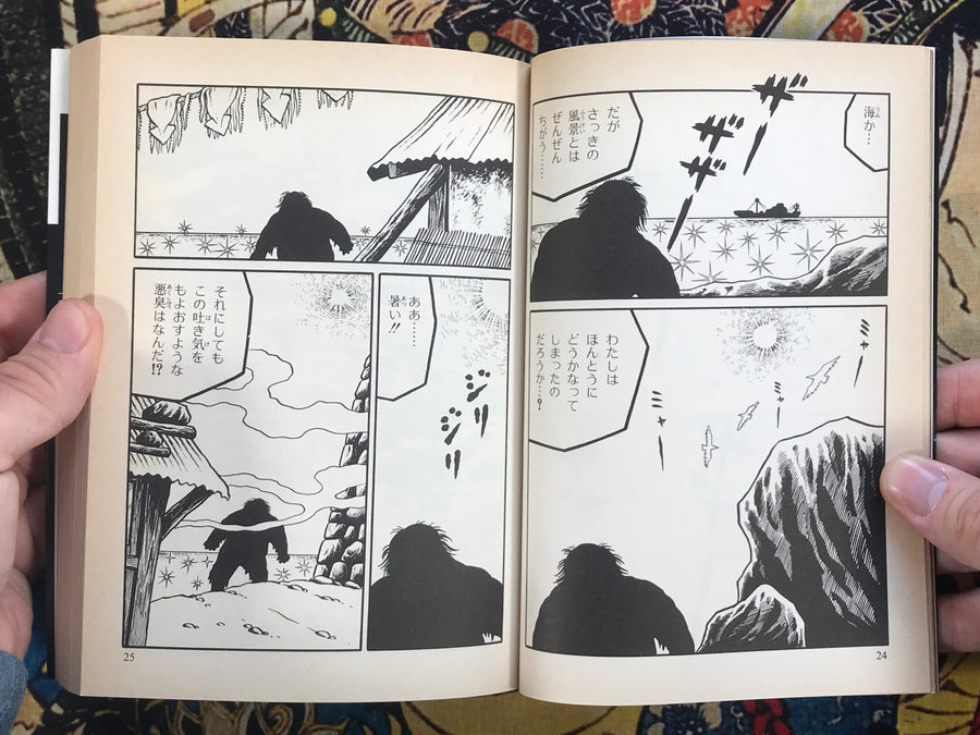 Bizarre Book Dead Flesh Man by Hideshi Hino (1988)
