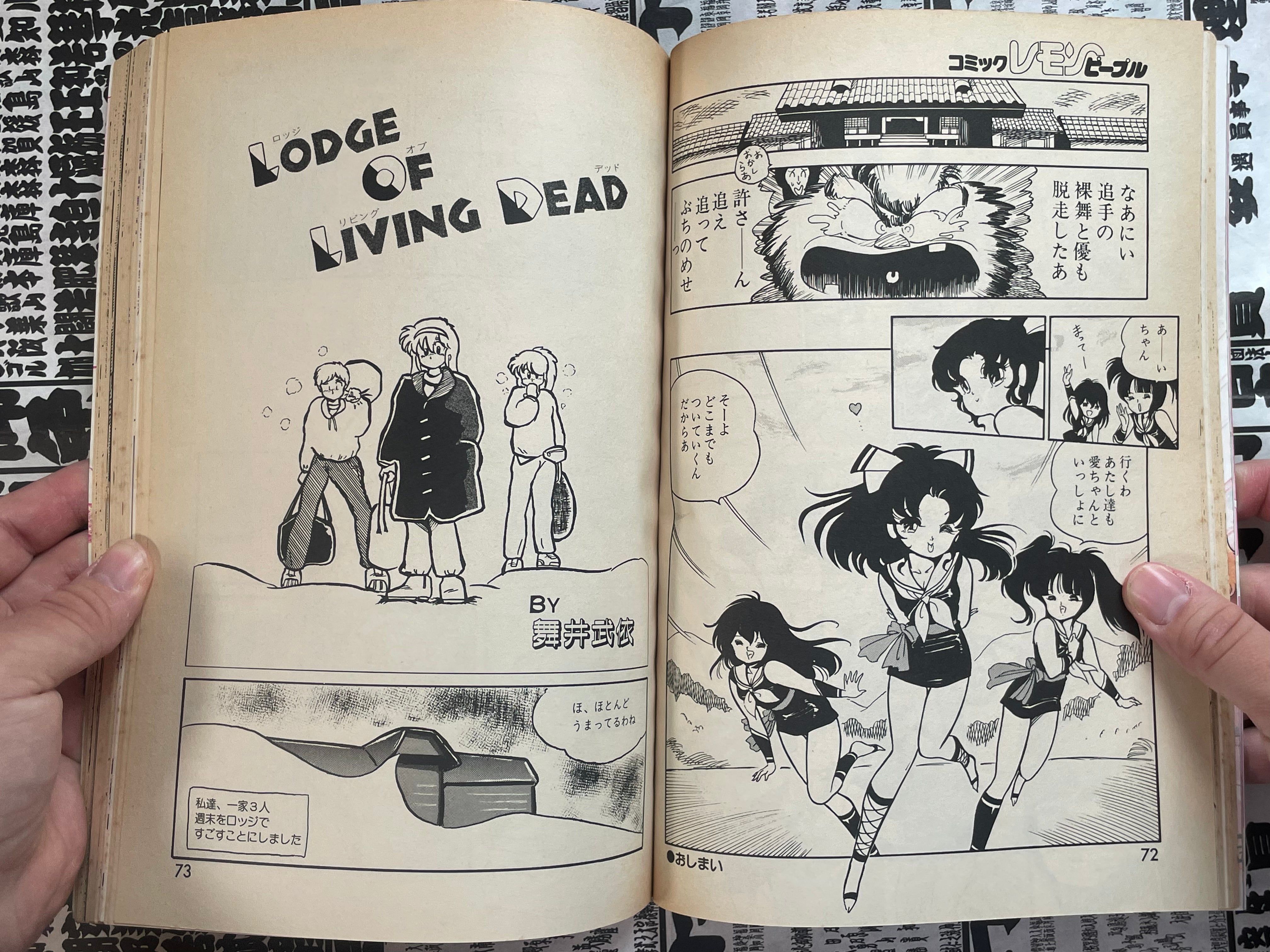 Lemon People No. 73 (6/1987)-thumbmail-9