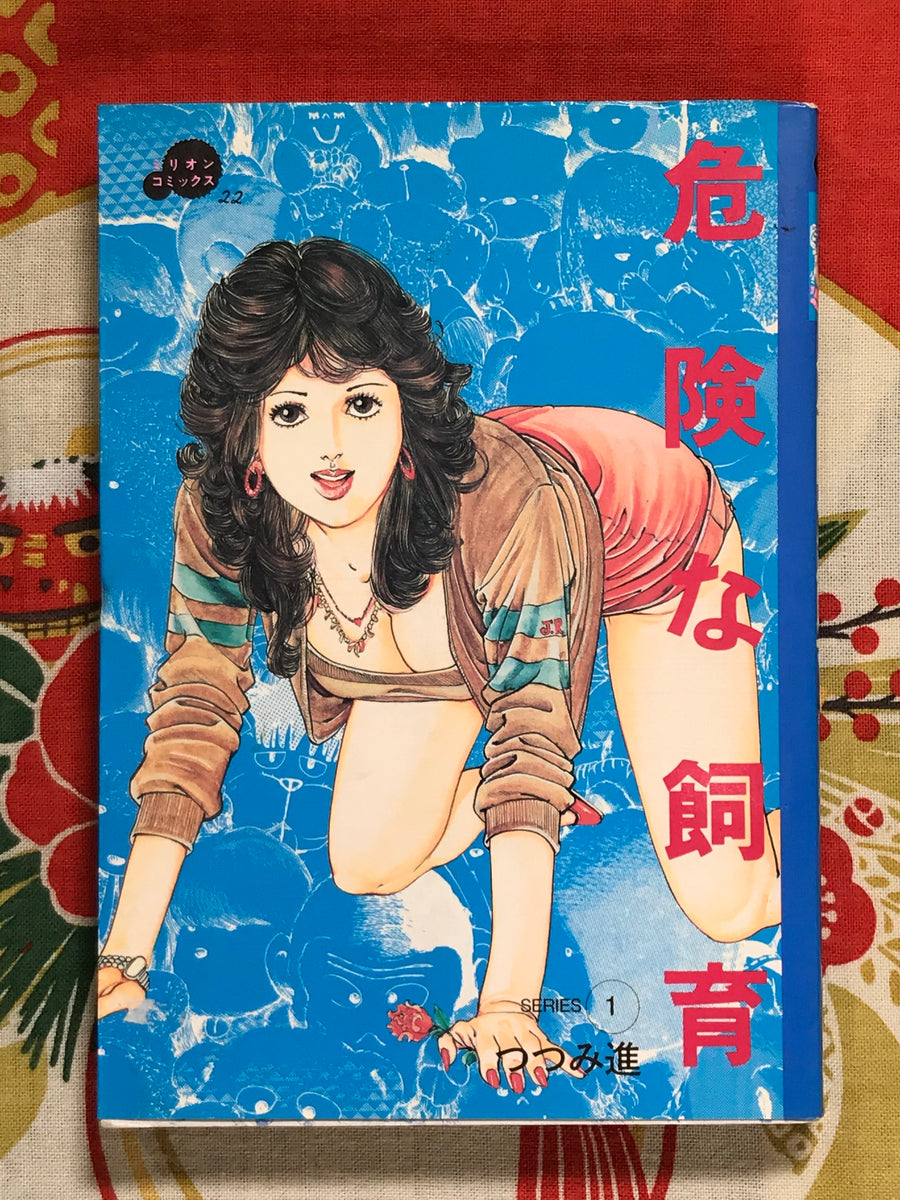 Shocking Lady by Tsutsumi Susumu (1990)