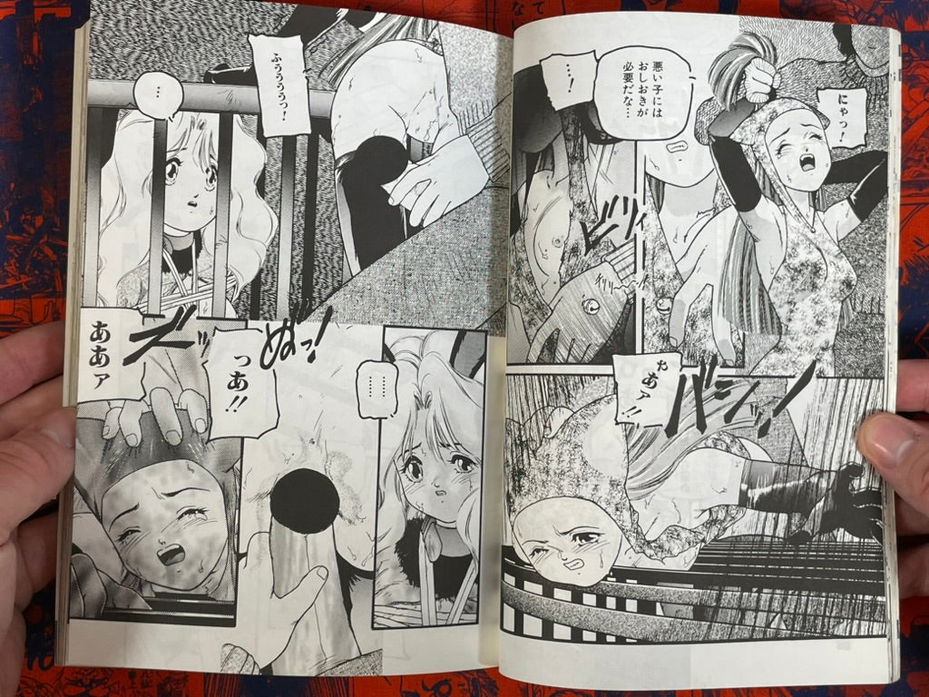 Manga Daisuki Magazine (6/1995)