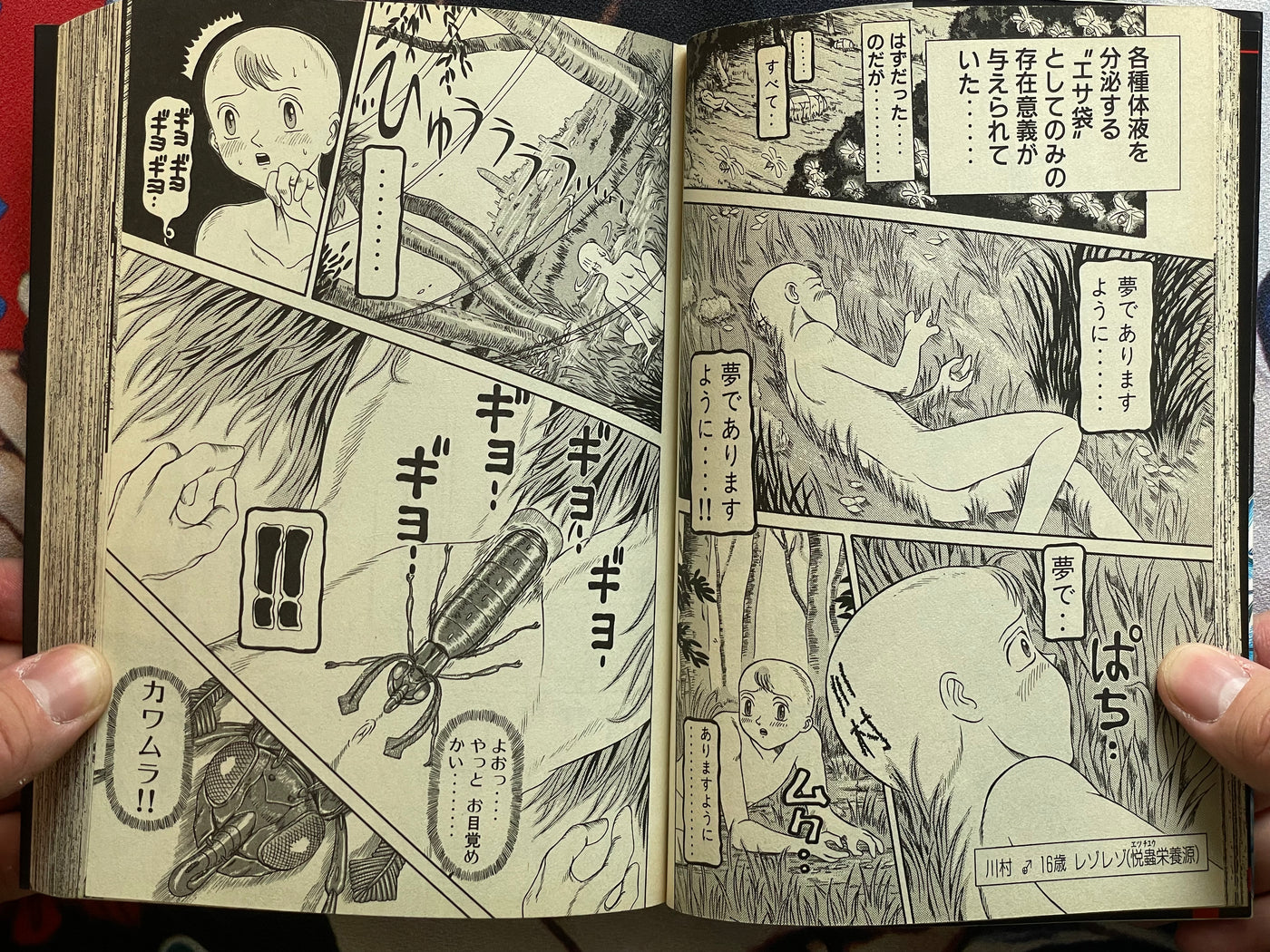 Rezo Rezo by Herumaa Sagano (2001)