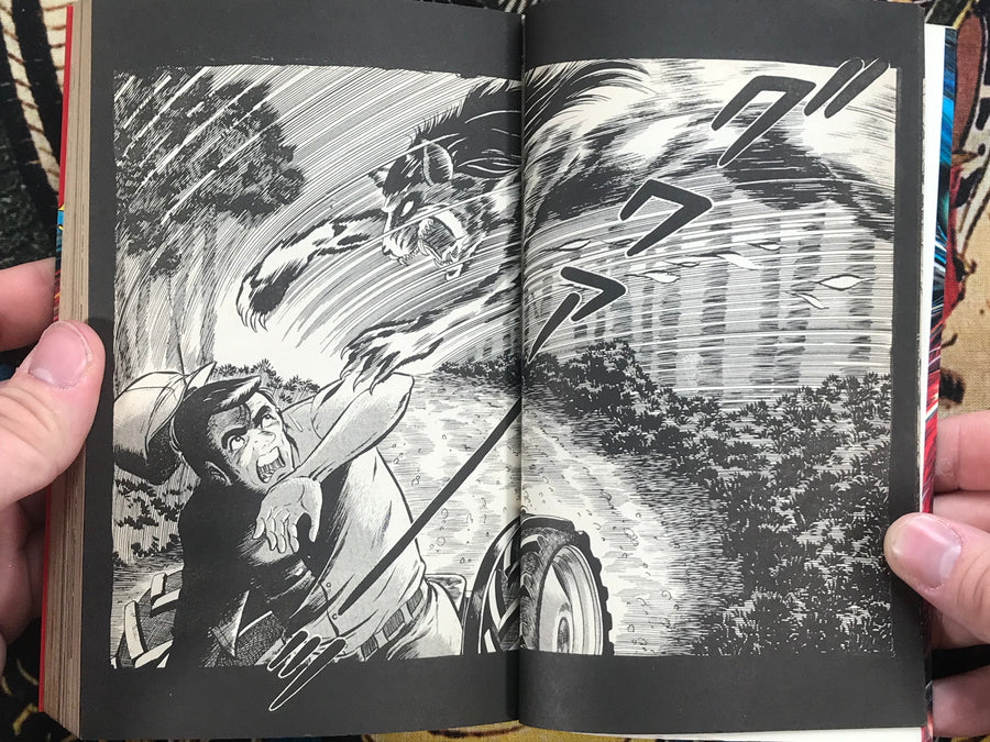 Robiz Omen by Monsieur Tanaka (1979)