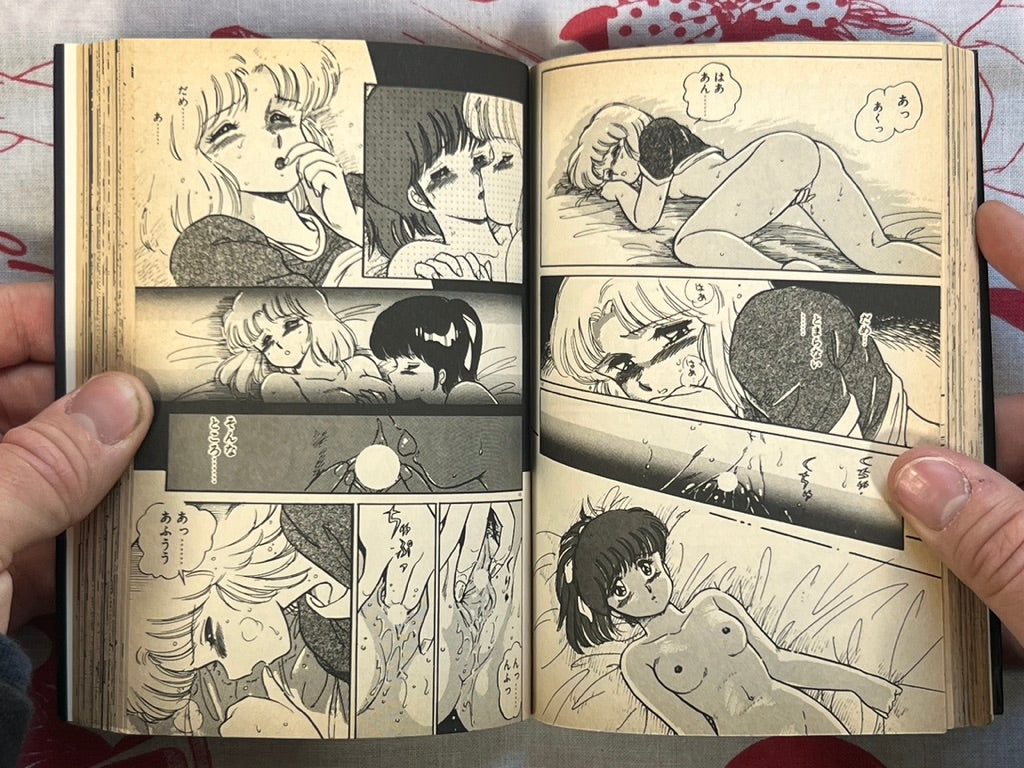 Minato-chan is 17! - bunko size by Amagi Kei (1991)