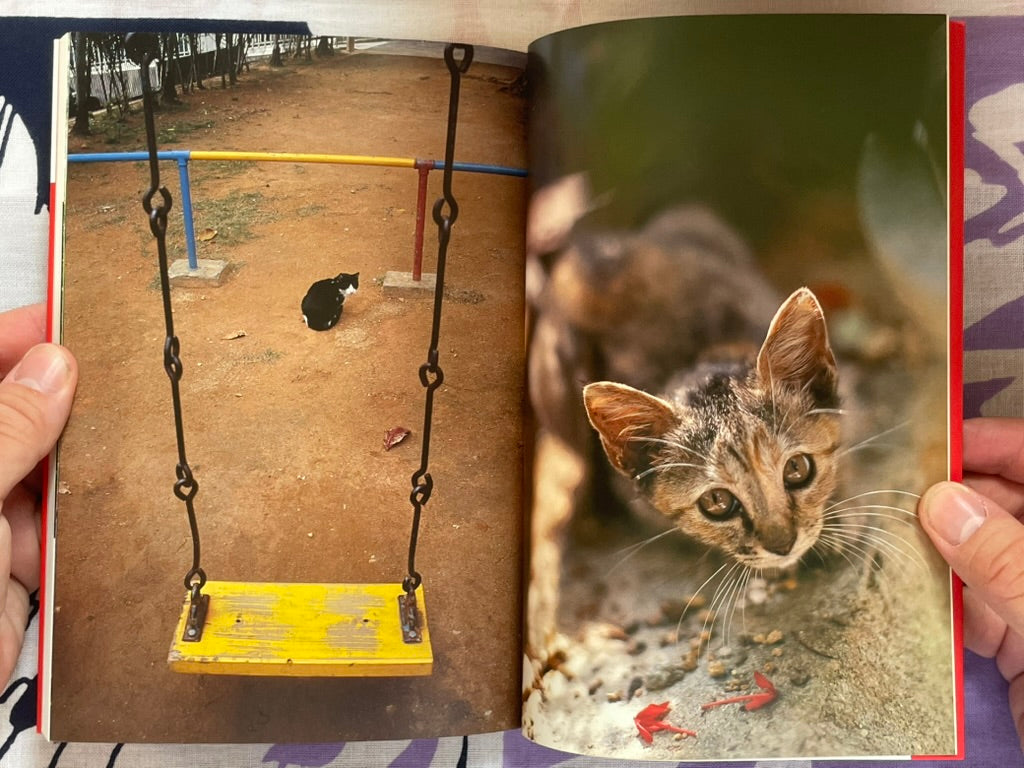 Okinawa Cats: Sentimental Journey (2006)