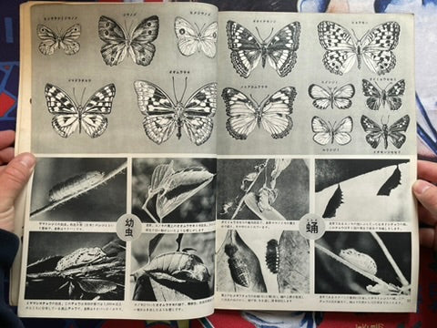 The Science Graph Vol. 6: Insect Special Edition (1962)
