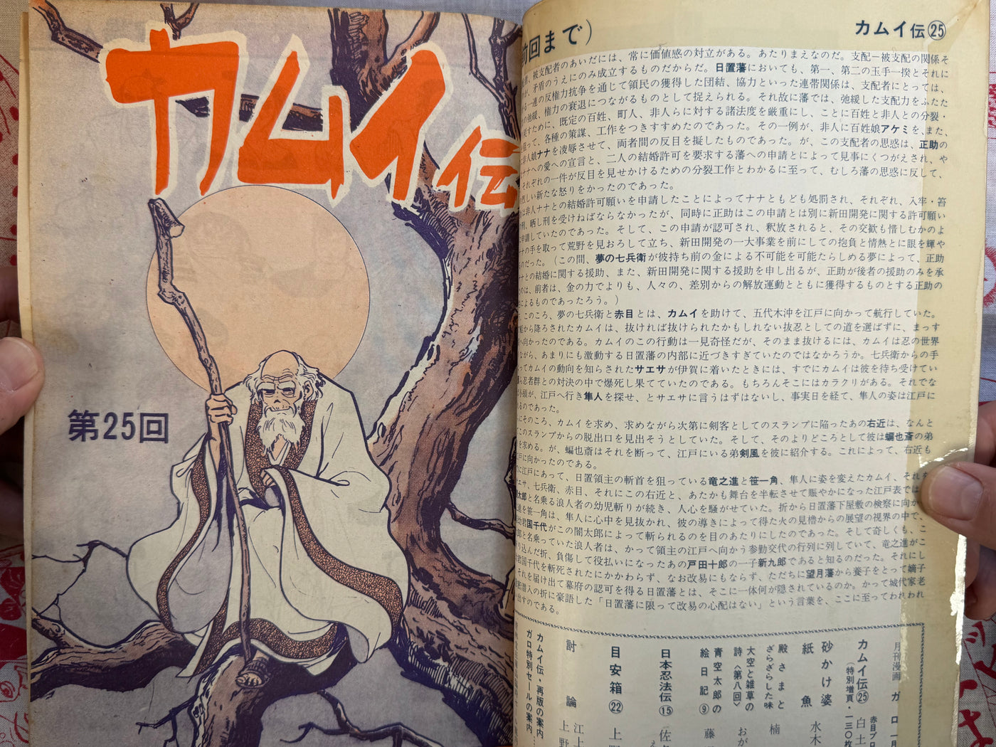 Garo Magazine Issues 25-36 (1967 Full Set)