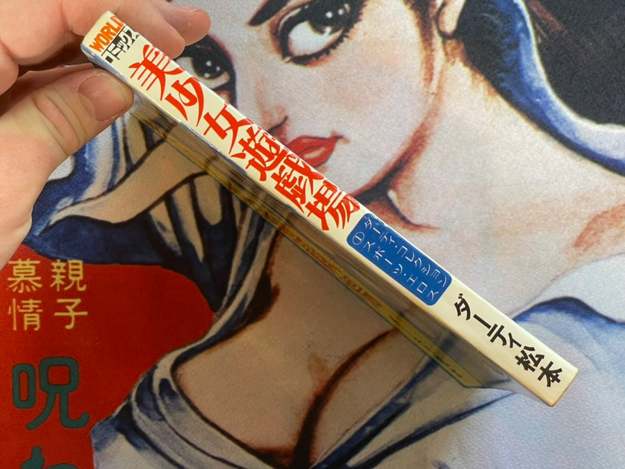 Beautiful Girl Playground by Dirty Matsumoto (1982)