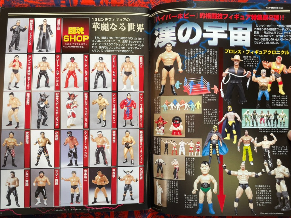 Hyper Hobby Vol. 31 - Roman Album (4/2001)