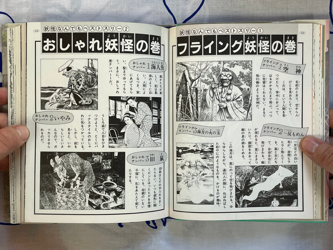 Introductory Yokai Professor - Hardcover by Mizuki Shigeru (1989)