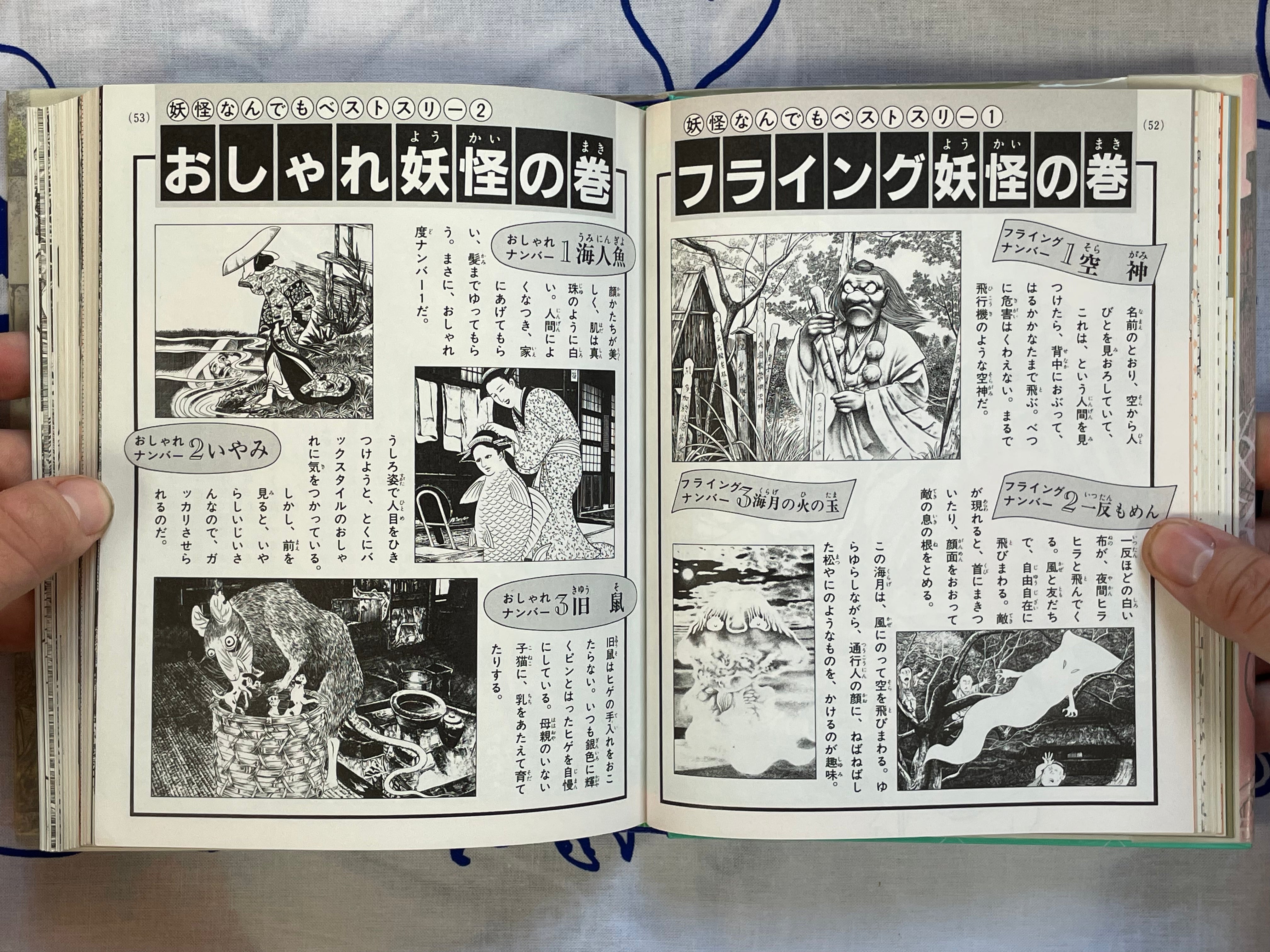 Introductory Yokai Professor - Hardcover by Mizuki Shigeru (1989)