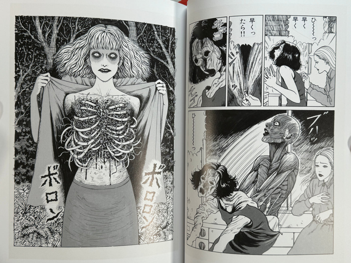 Junji Ito Exhibition Enchantment Illustrations (2024)